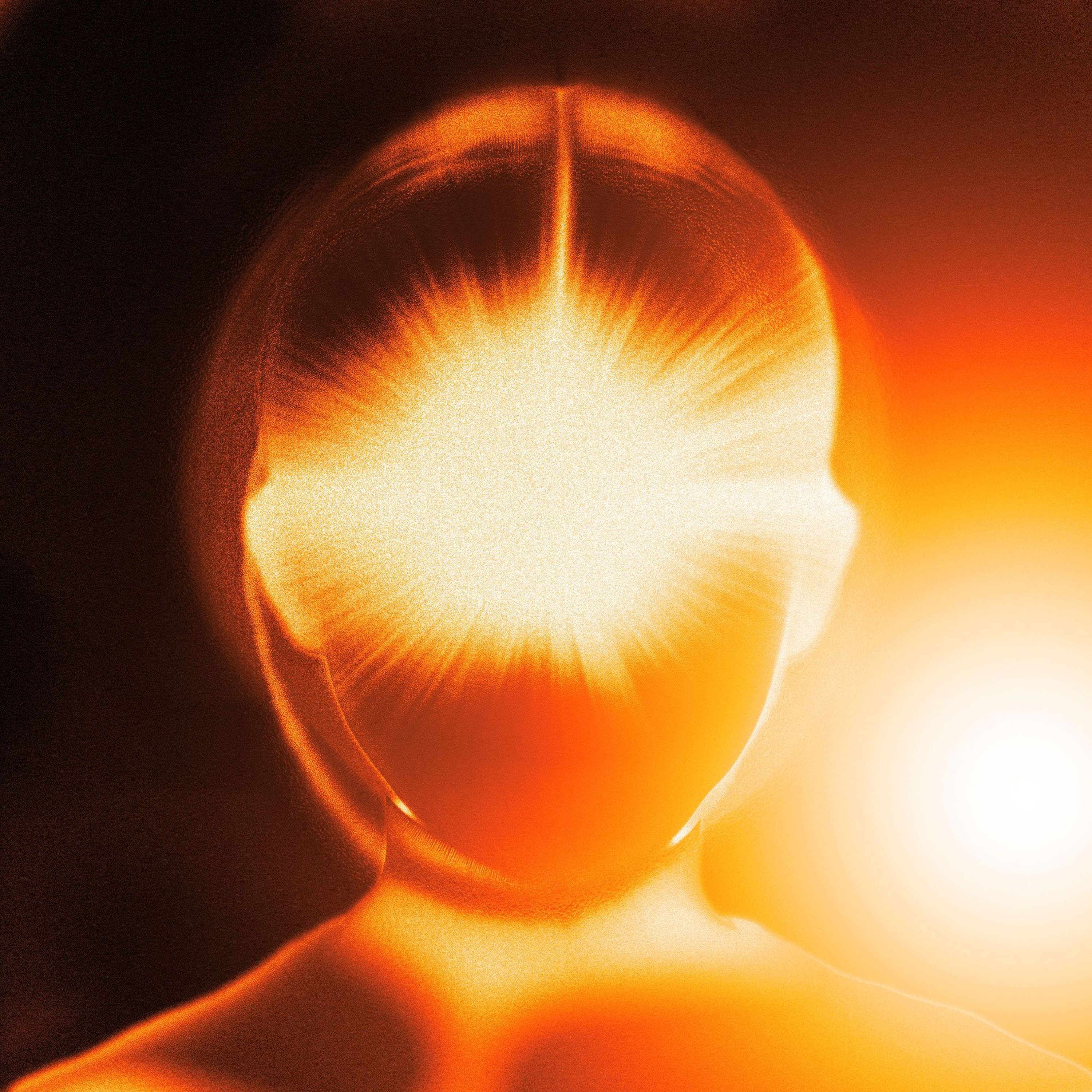 Premiere: Temudo — Video Word Made Flesh [ANIMA001] - HATE Podcasts cover