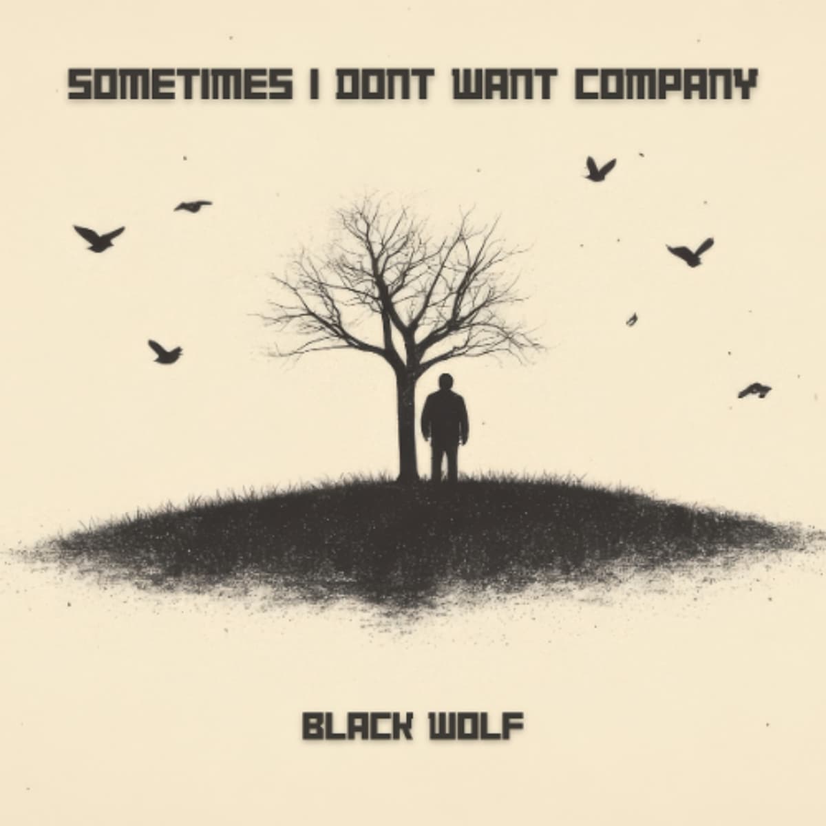 Sometimes I Don't Want Company - Black Wolf cover