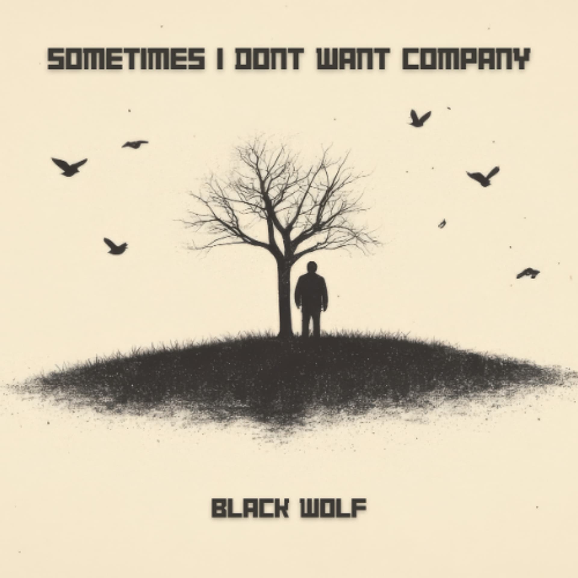Sometimes I Don't Want Company - Black Wolf cover