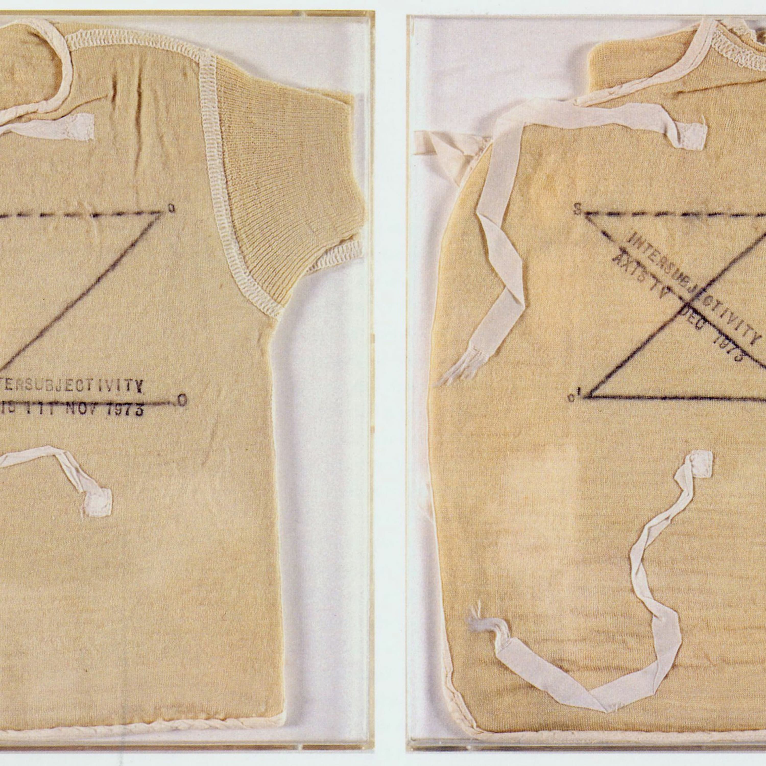 Ep. 51 - Mary Kelly's "Post-Partum Document" (1973-79) - The Lonely Palette cover