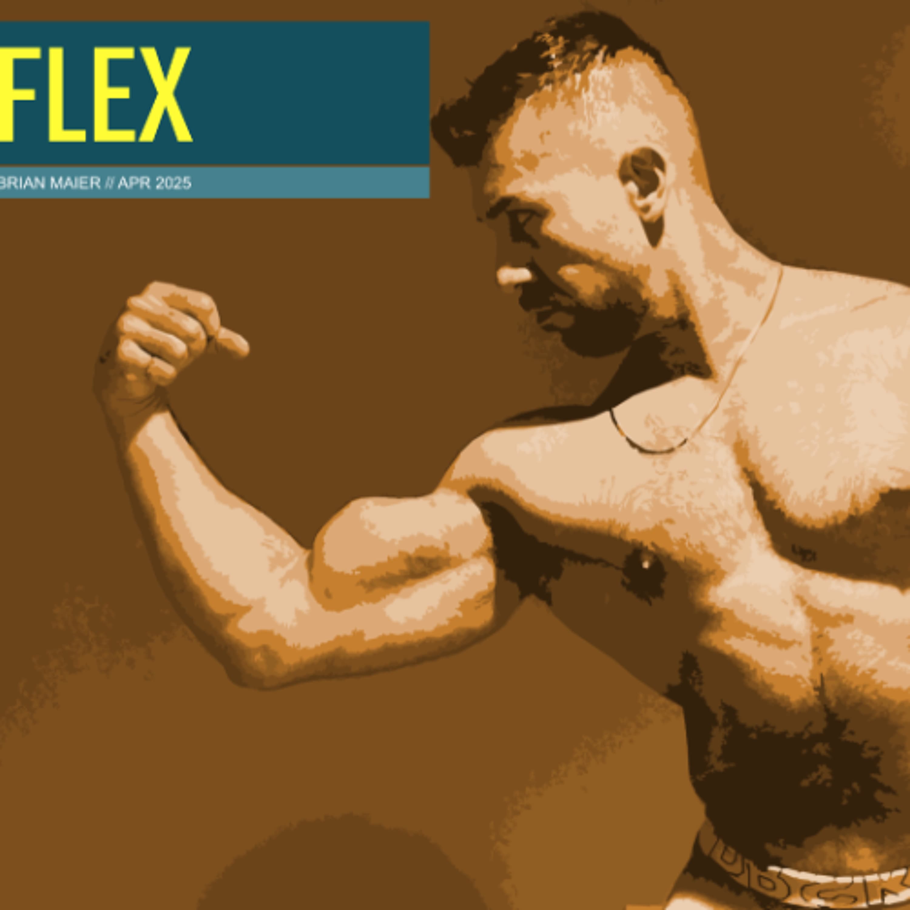 Flex - DJ Brian Maier's Podcast cover