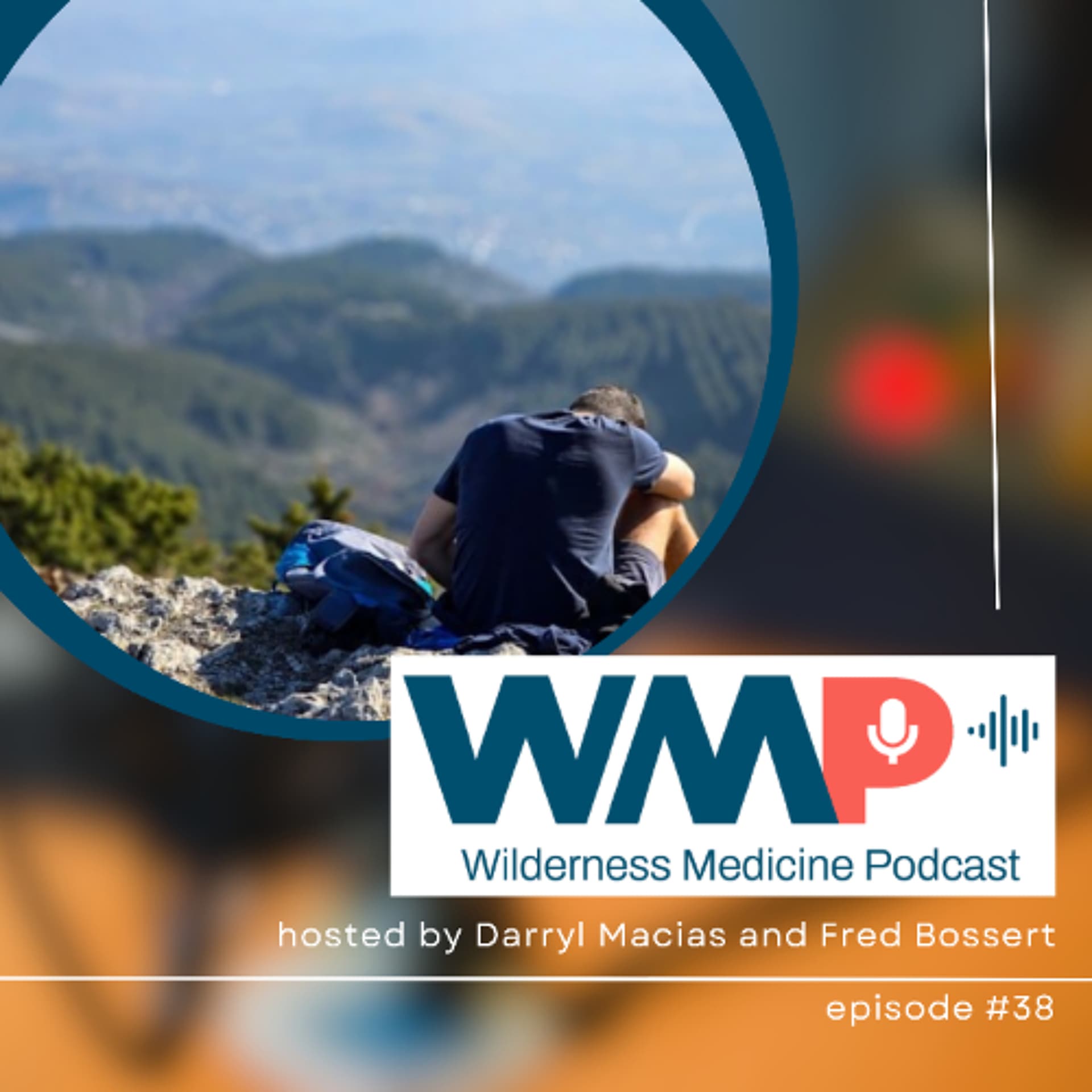 #38: All Things Encephalopathy - Wilderness Medicine Podcast cover