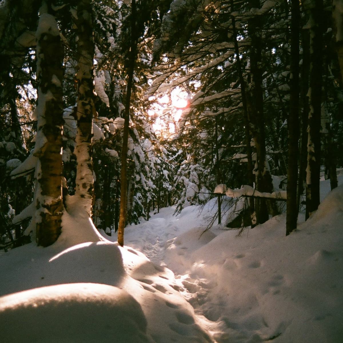 waveform* - miiike cover