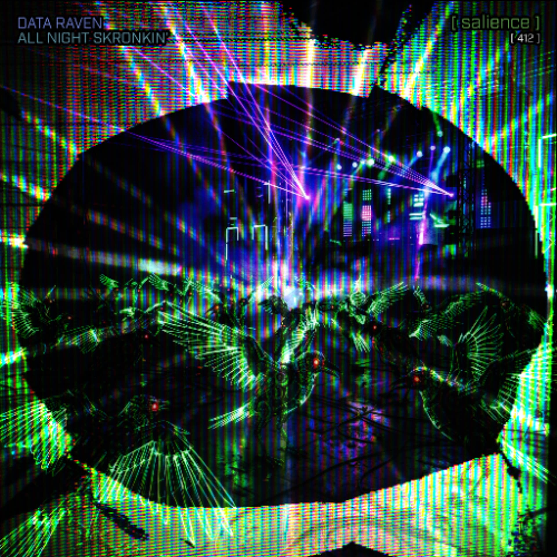 [ salience ][ 412 ] / Data Raven - All Night Skronkin' — salience - DIGI/SPASM cover