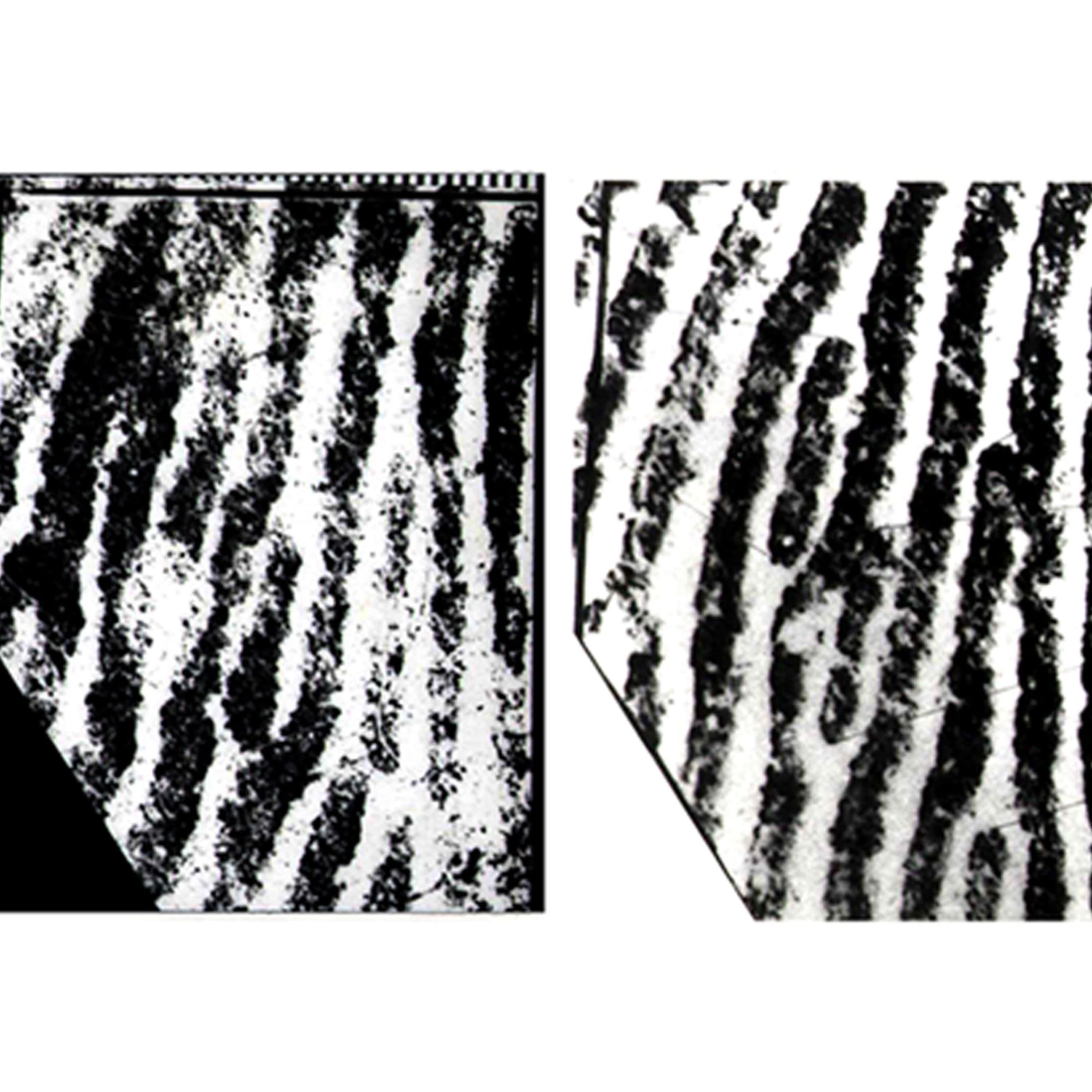 Episode 288 - Close Non-matches - Double Loop Podcast cover