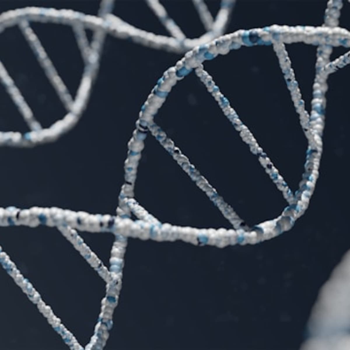 Episode 104: Family planning when you have a heritable visible difference - Appearance Matters: The Podcast! cover