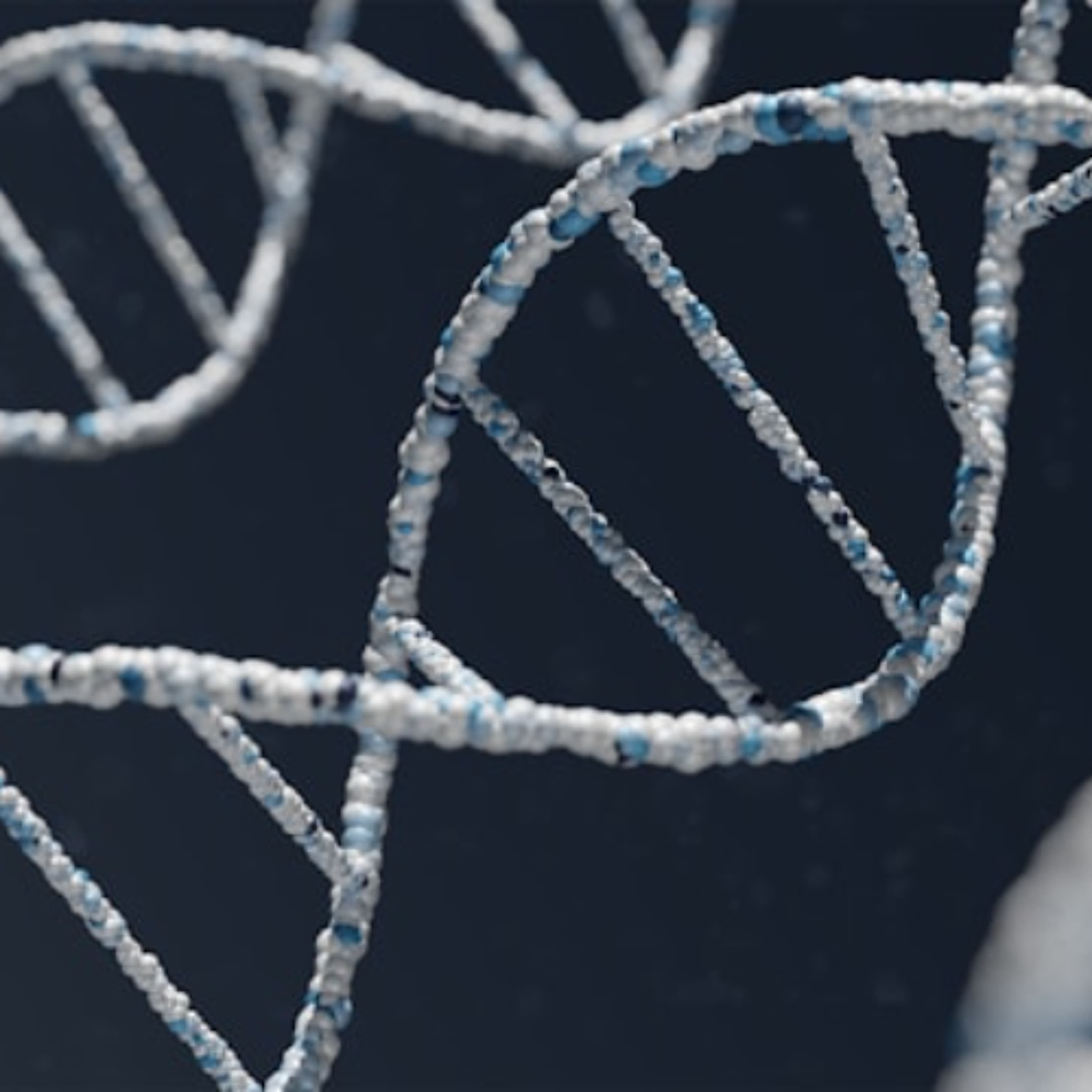 Episode 104: Family planning when you have a heritable visible difference - Appearance Matters: The Podcast! cover