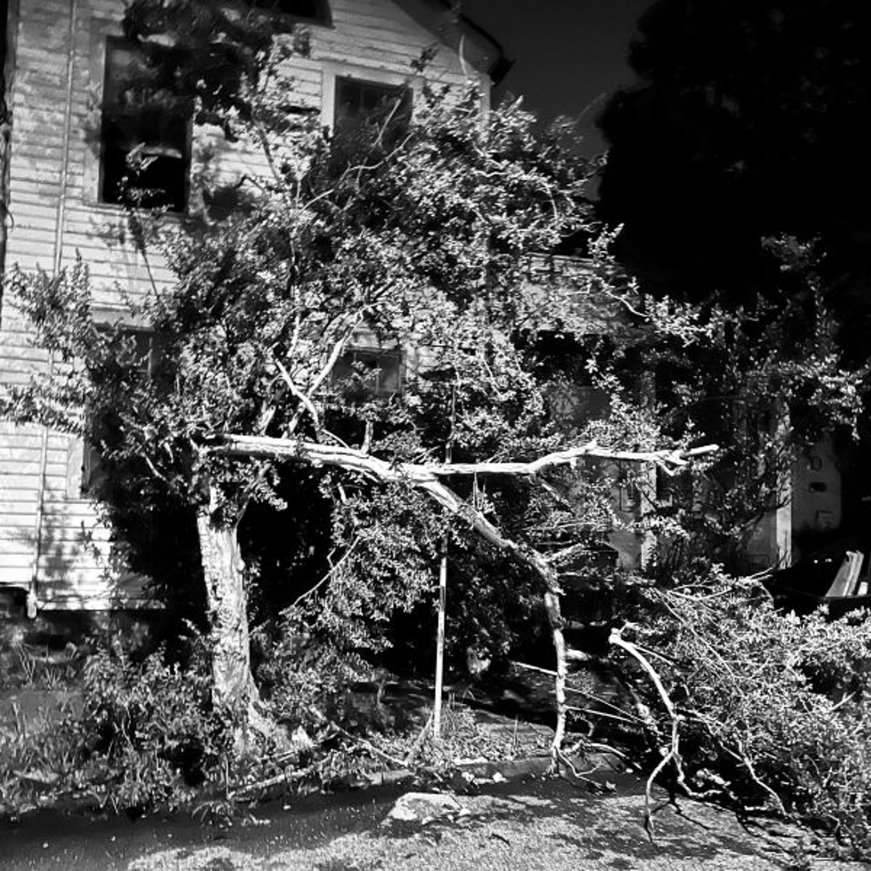 Nola - Oskar Hz cover