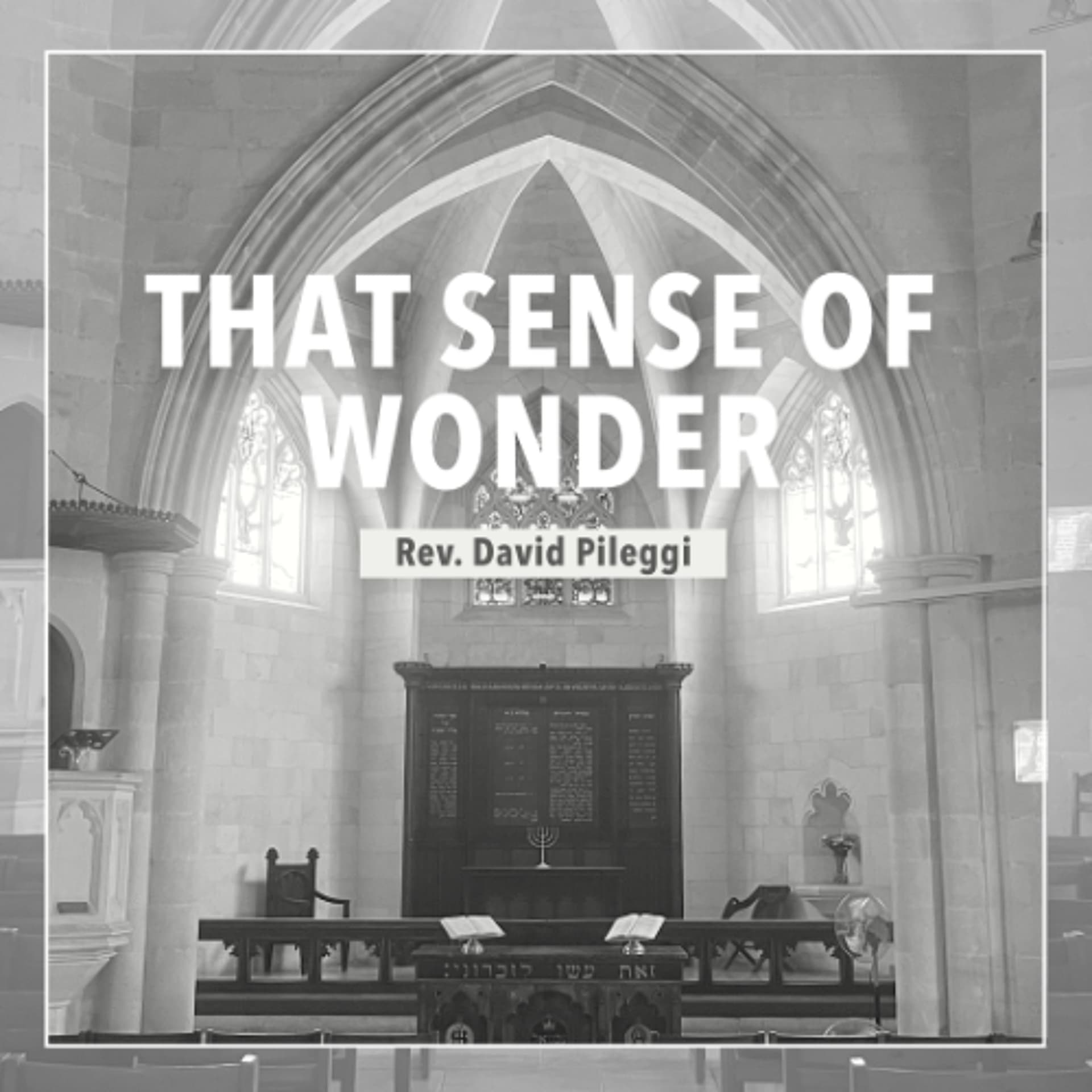That Sense of Wonder - Rev. David Pileggi - Christ Church Jerusalem cover
