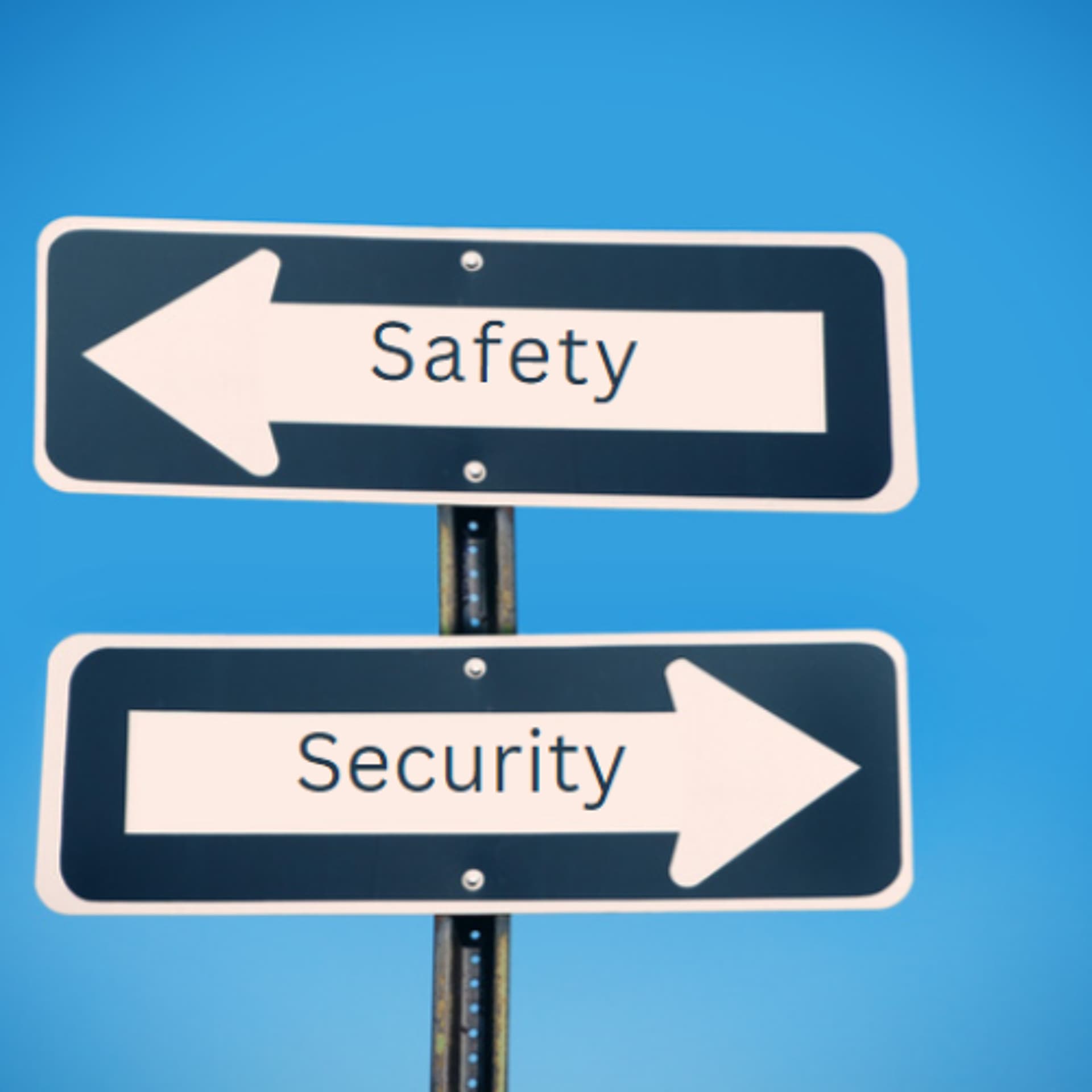 Safety and Security - davidrovics cover
