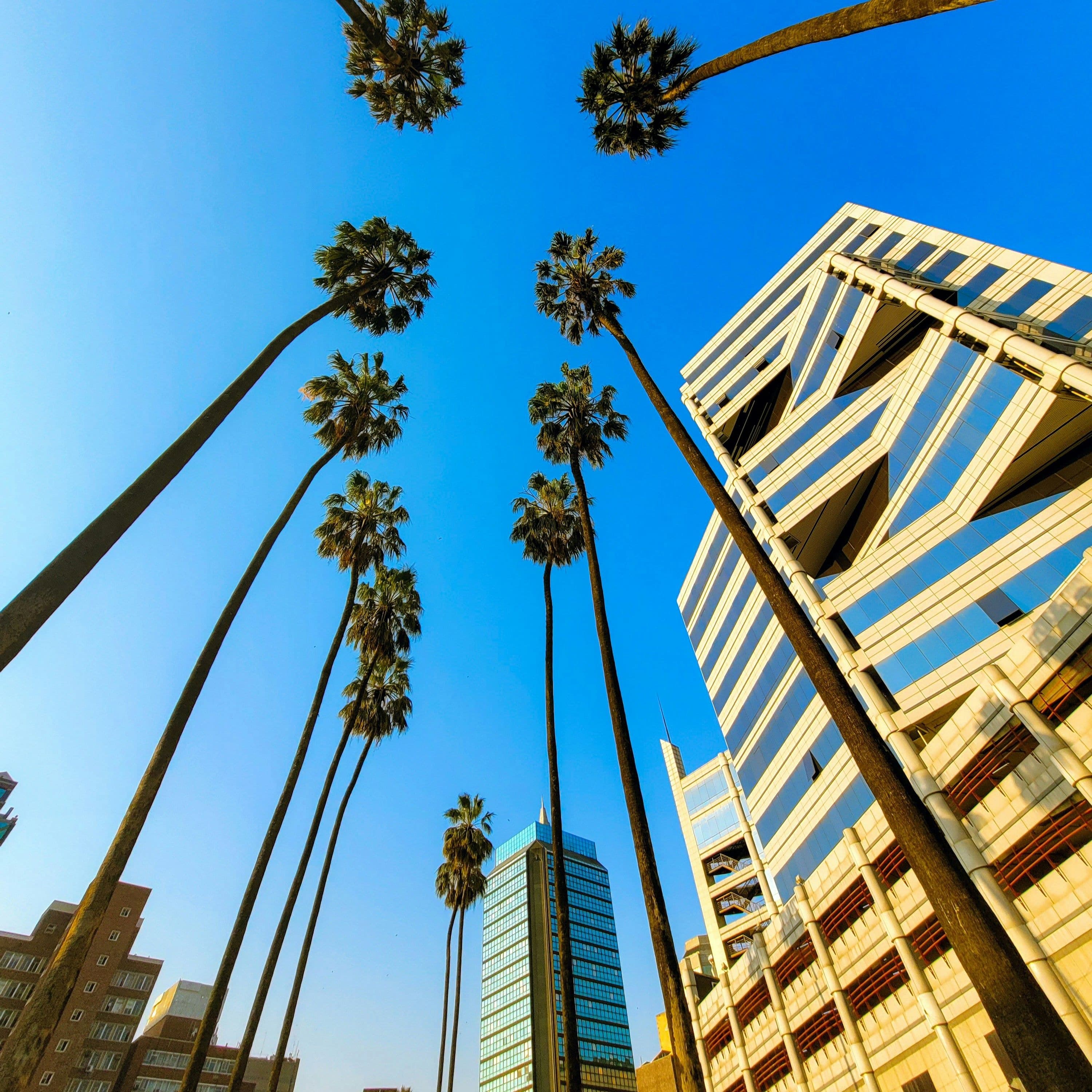 Victor Mapunga On Building From First Principles In Africa's 'Tech Graveyard' - African Tech Roundup Podcast cover