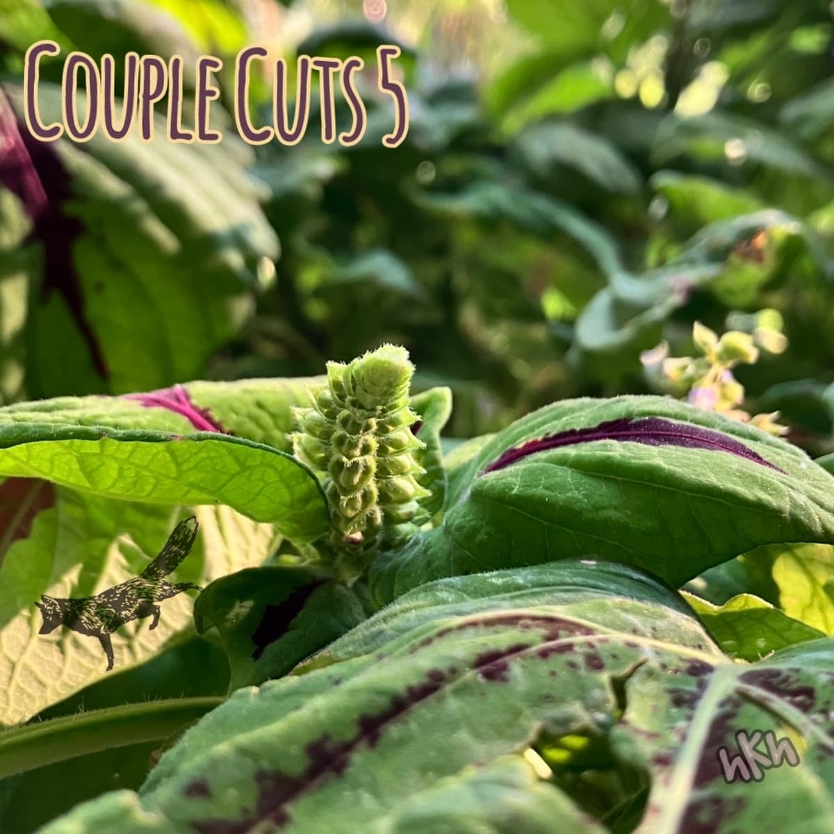 bells of lavandula - hKh cover