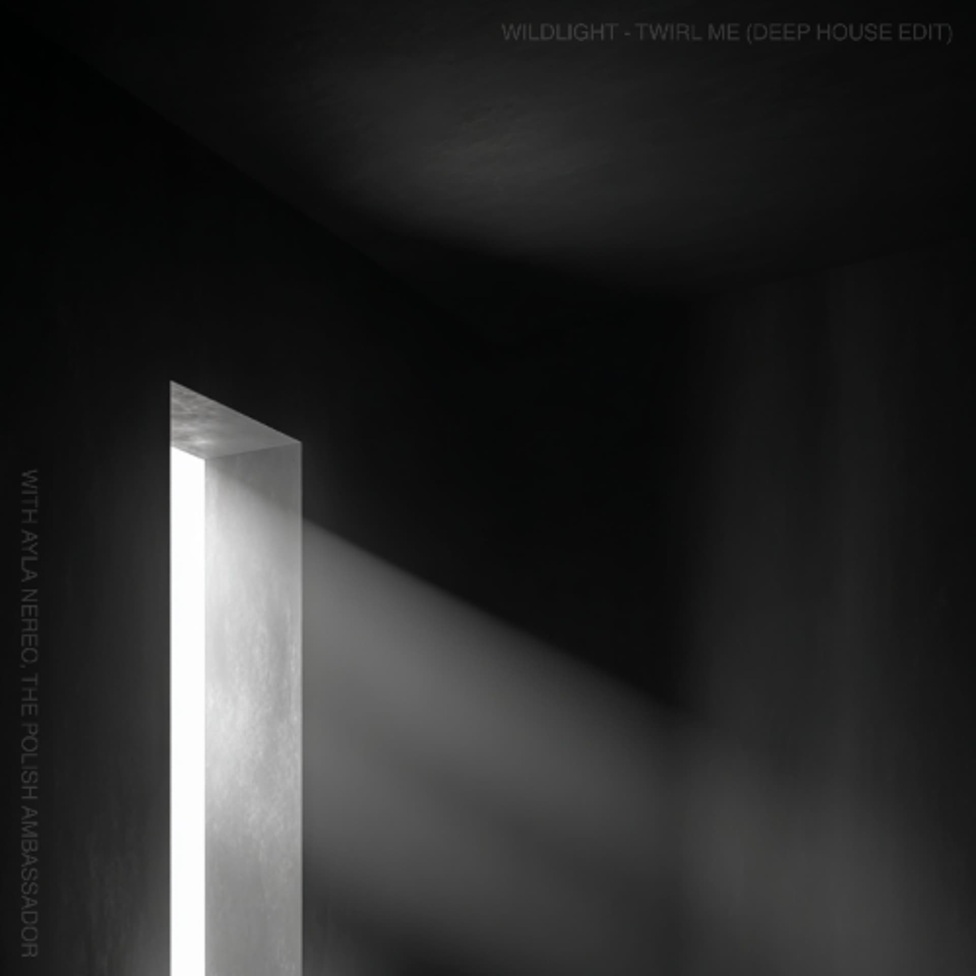 The Polish Ambassador, Ayla Nereo, Wildlight - Twirl Me (Deep House Edit) — The Polish Ambassador cover