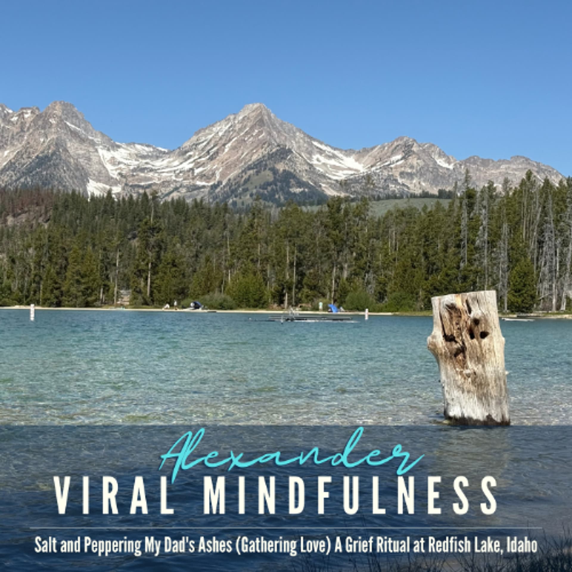 Salt and Peppering My Dad's Ashes: My Grief Ritual at Redfish Lake, Idaho — Viral Mindfulness the Podcast cover