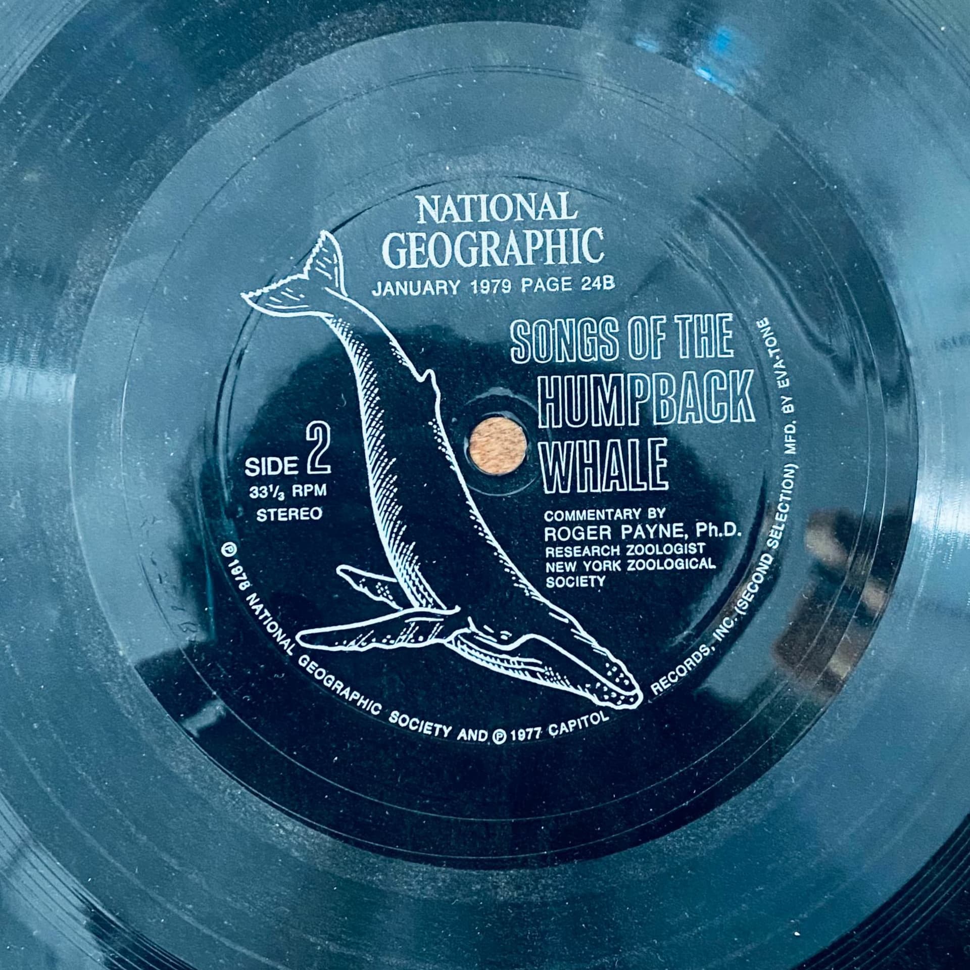 Radio Concrete 52 - Izenberg & Sesper - Radio Concrete cover