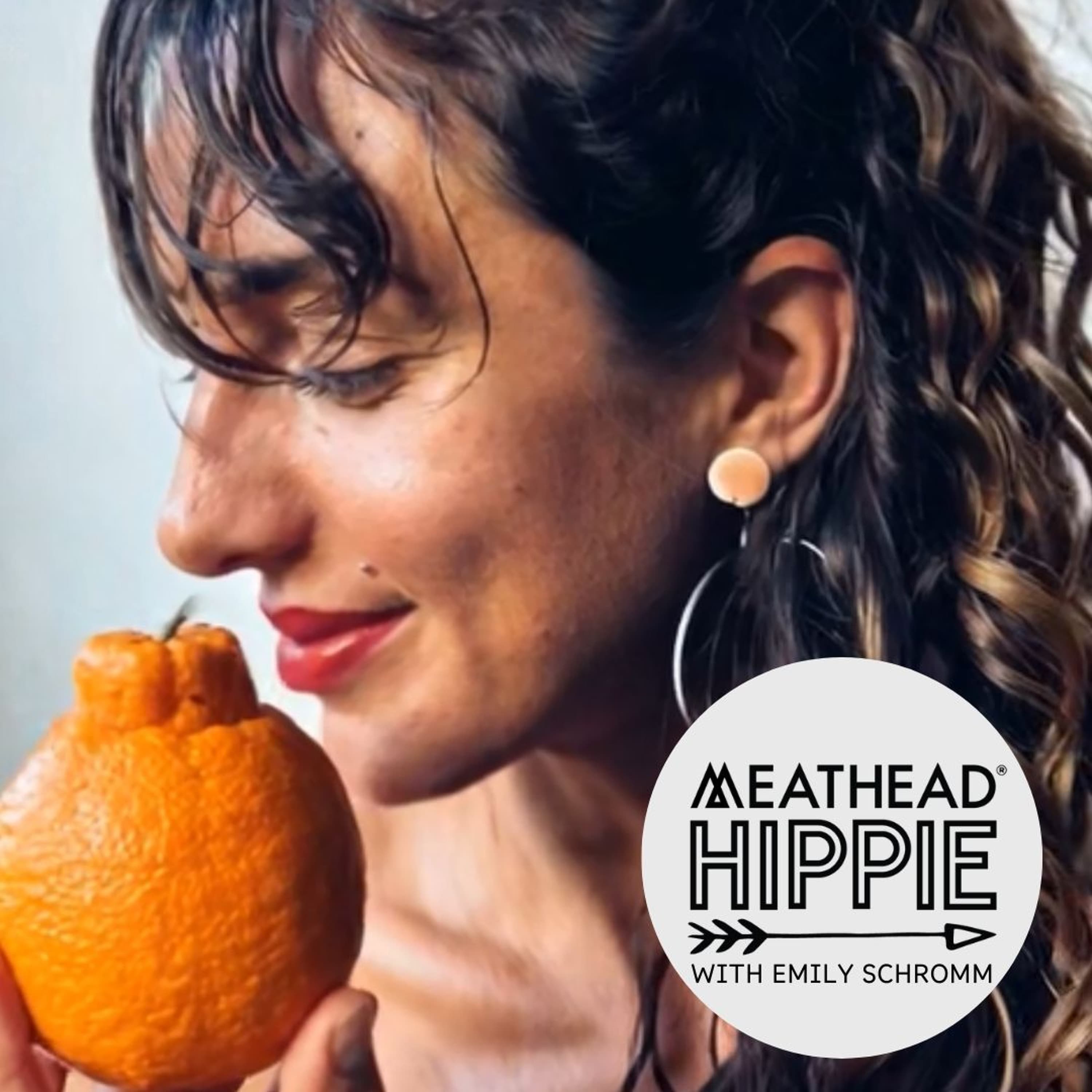 Rebuilding From the Inside Out: Healing 5 Fractures Fast - Meathead Hippie cover