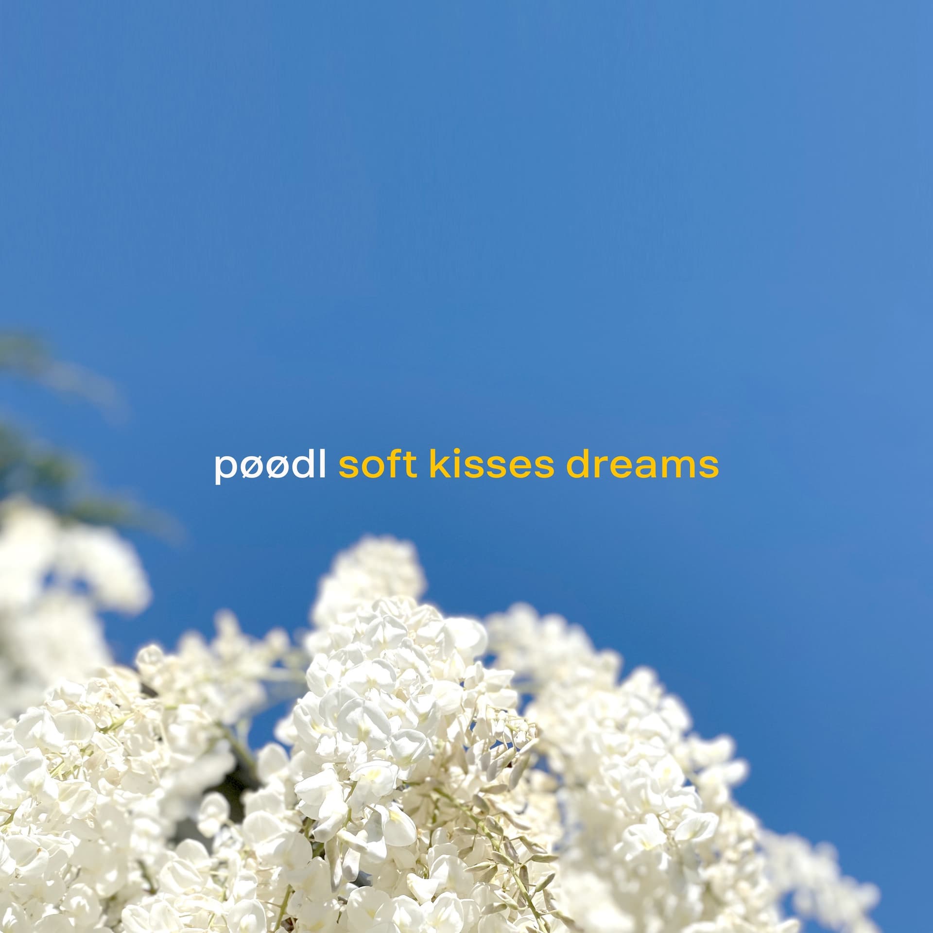 pøødl - Soft Kisses Dreams - Music&Motion cover
