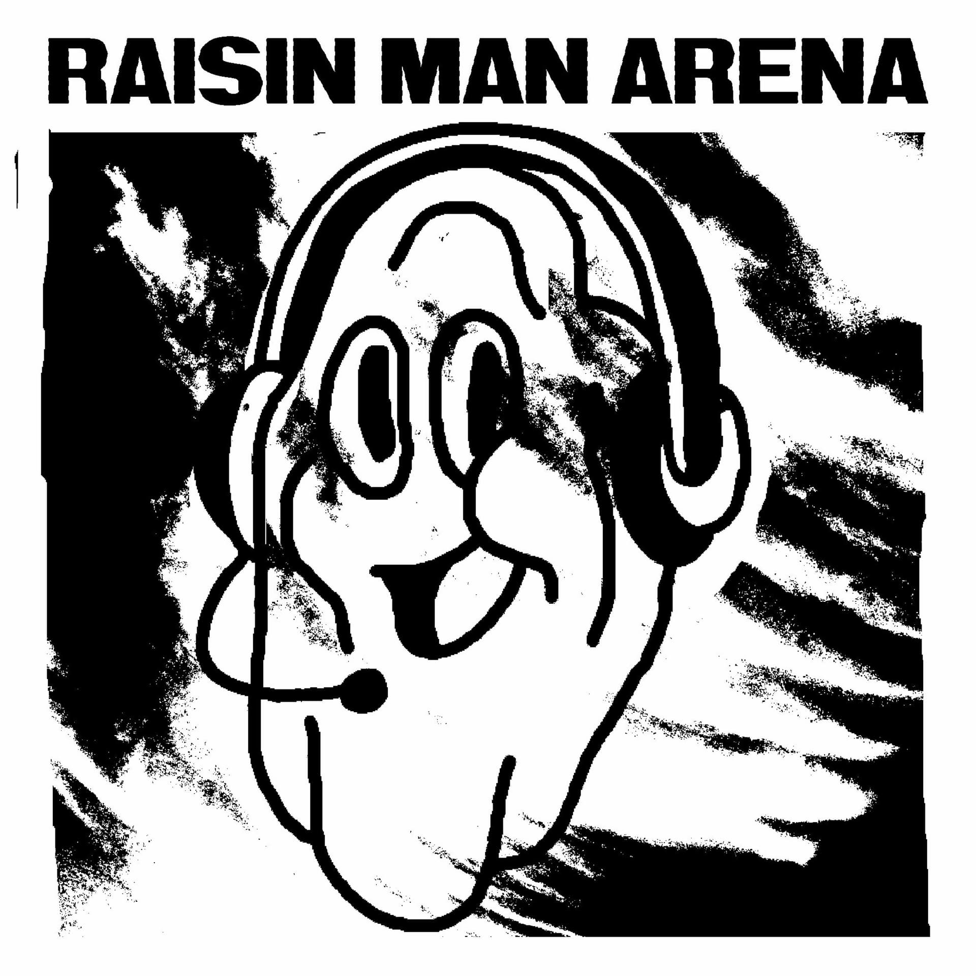 130 | MSG - Raisin Man Arena cover
