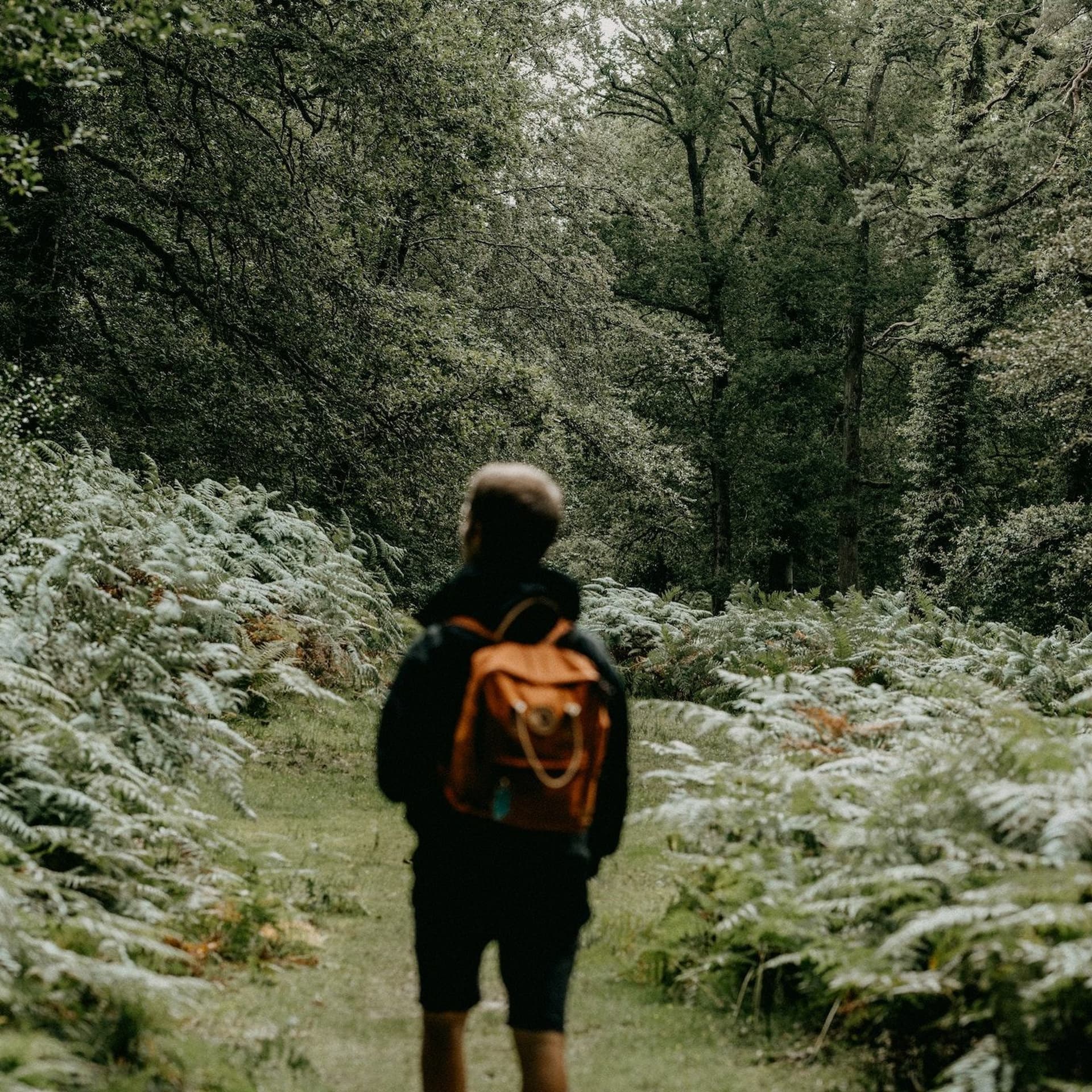 Uncertainty Meditation - Conscious Leader of the Month cover