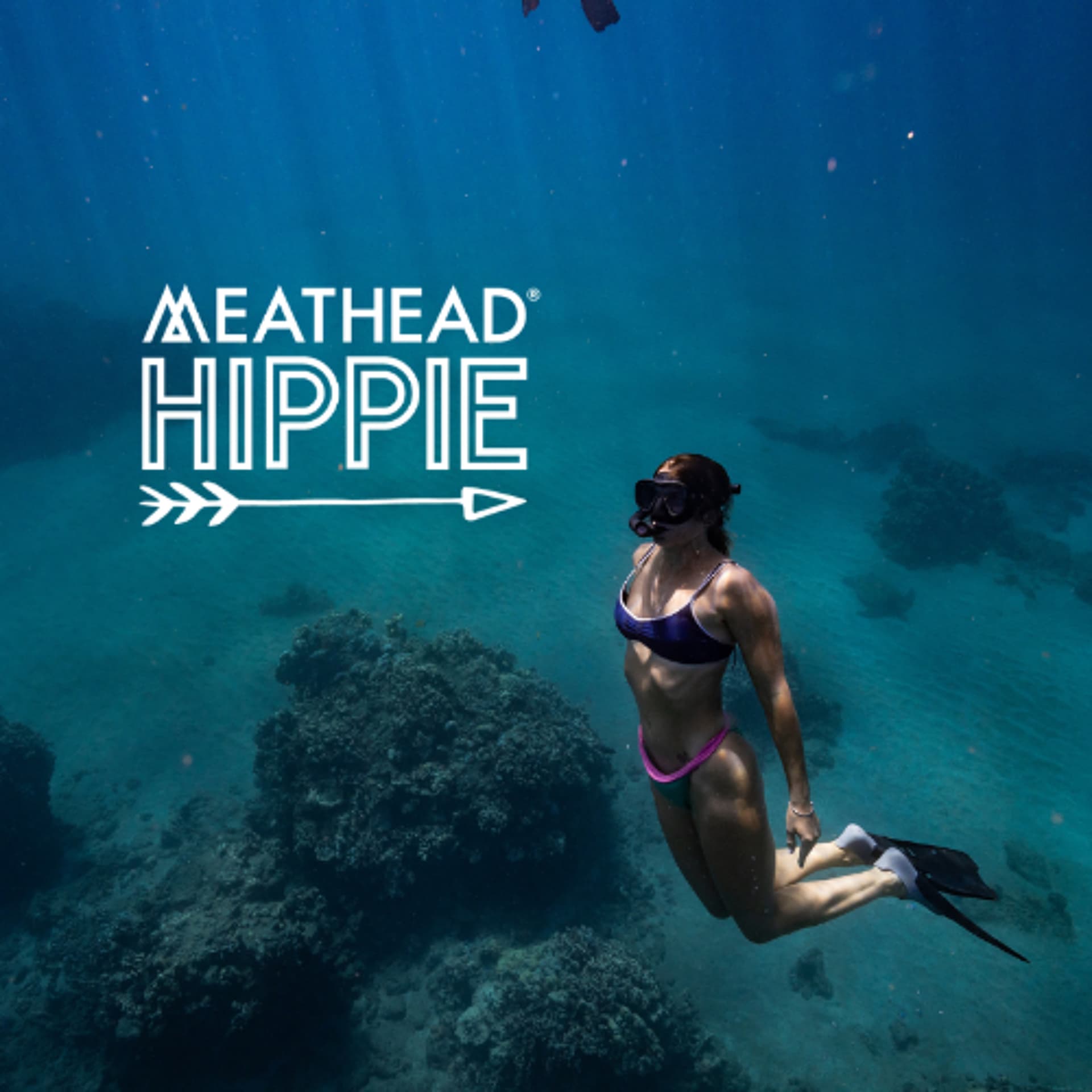 Your Life is the Offering - Meathead Hippie cover