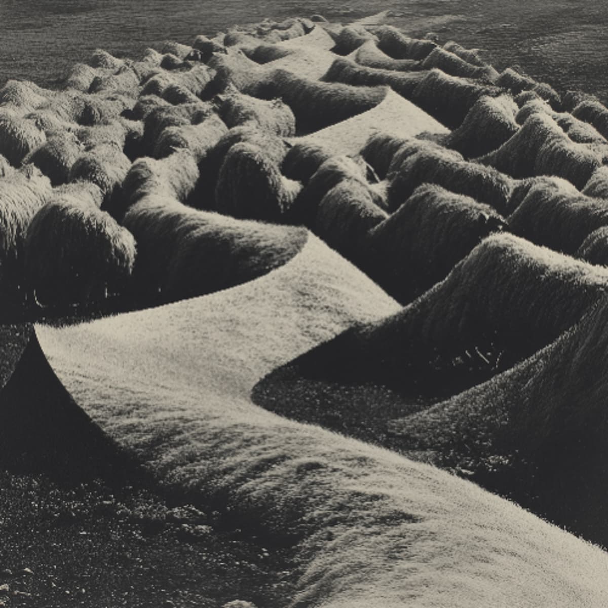 PREMIERE: Mina Lord - Drill To Serve [SUBVERTED] - THE BRVTALIST cover