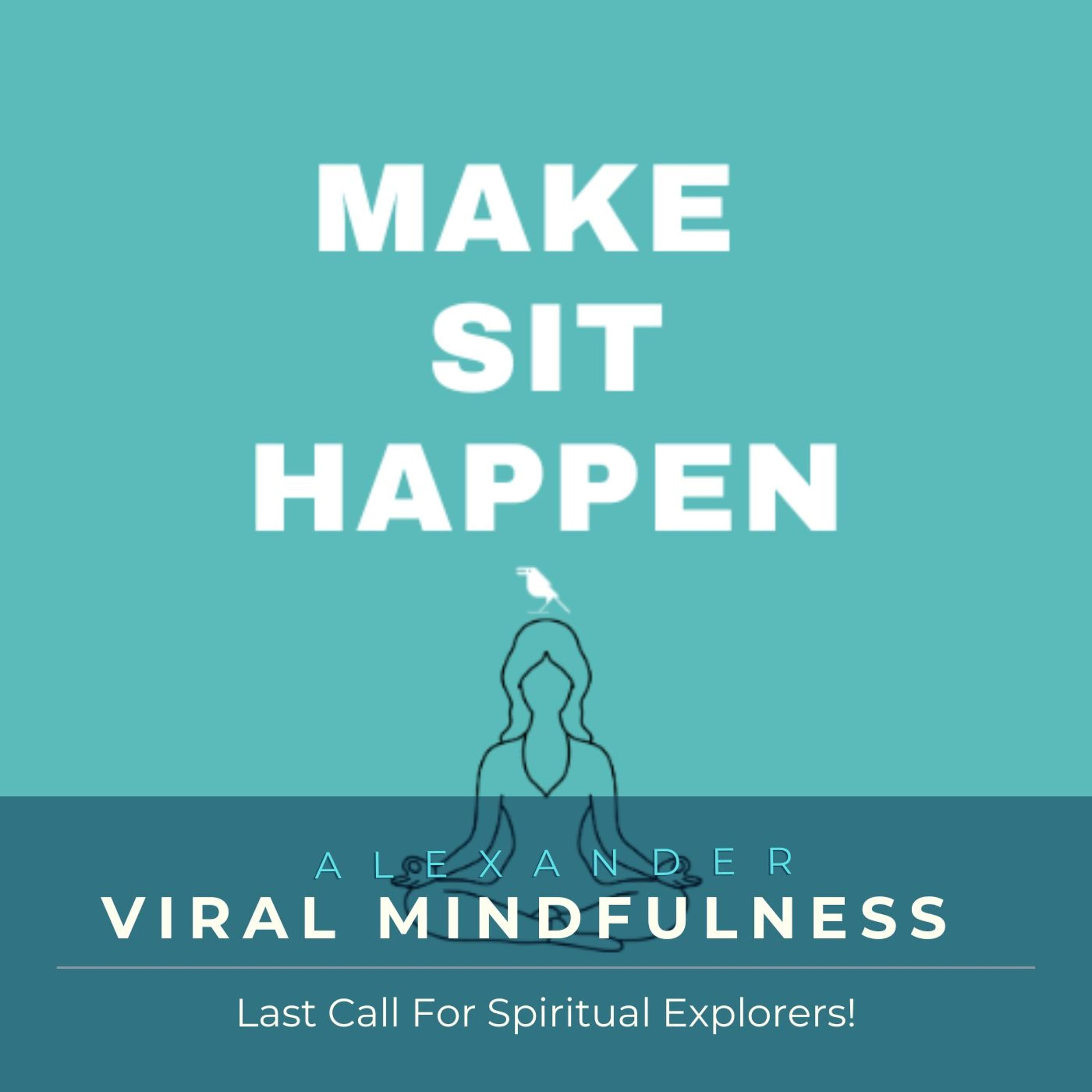 Make Sit Happen: A Field Guide to September - Viral Mindfulness the Podcast cover