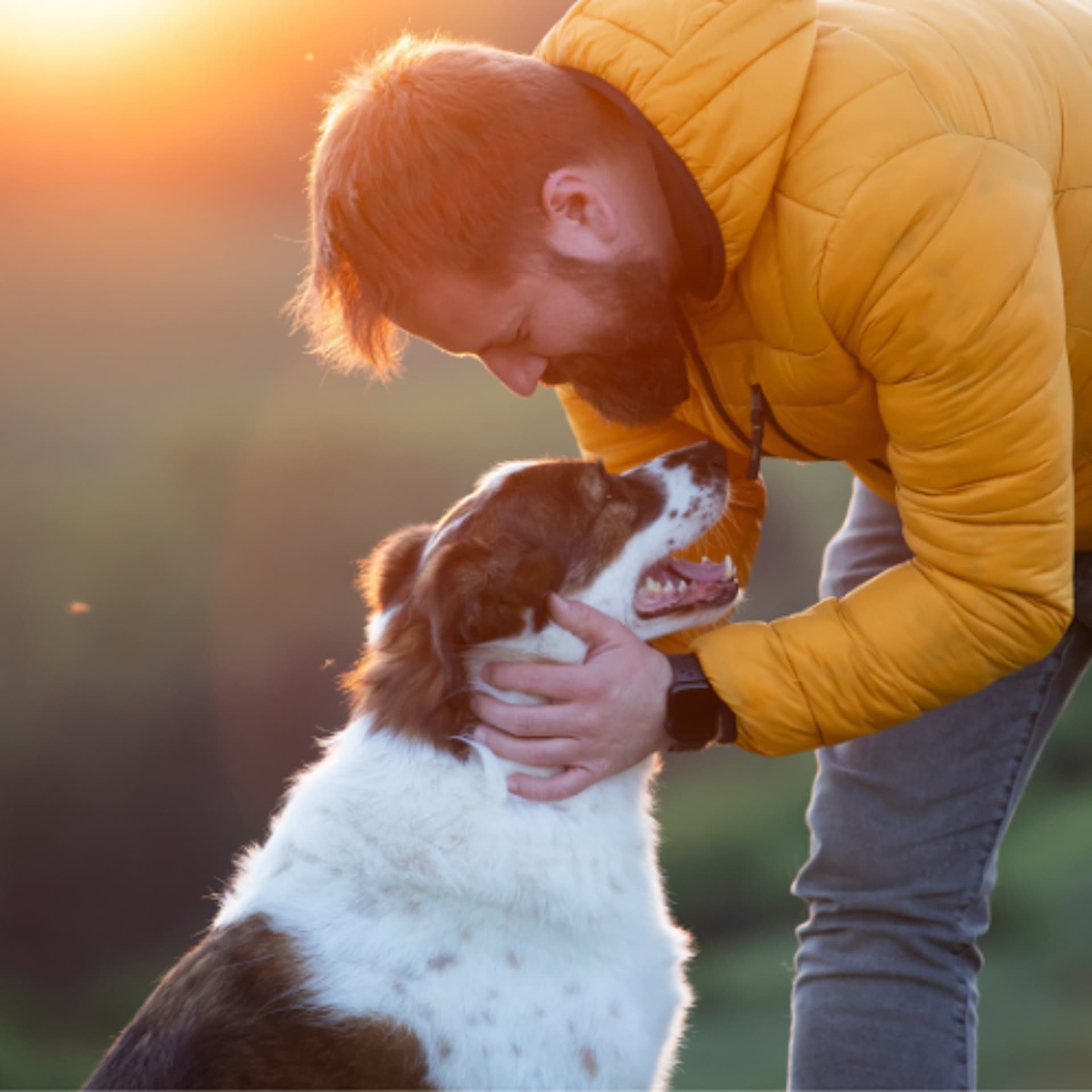 From Omega-3s to Green-Lipped Mussel: What Matters in Joint Supplements for Dogs — VetFolio Voice cover