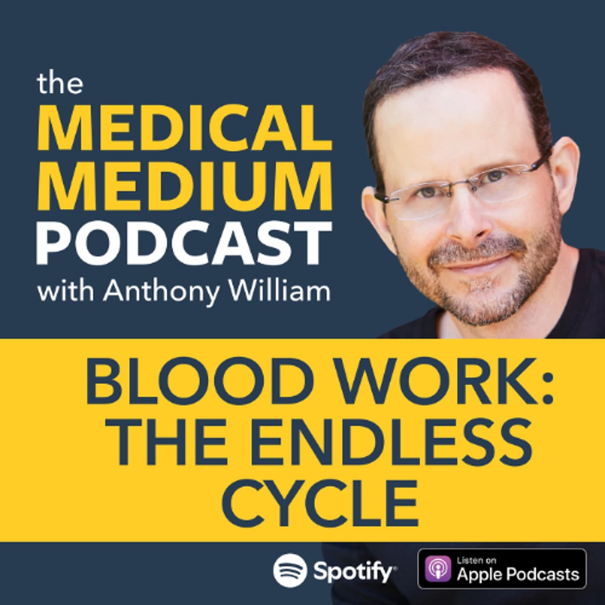 125 Blood Work: The Endless Cycle - Medical Medium Podcast cover
