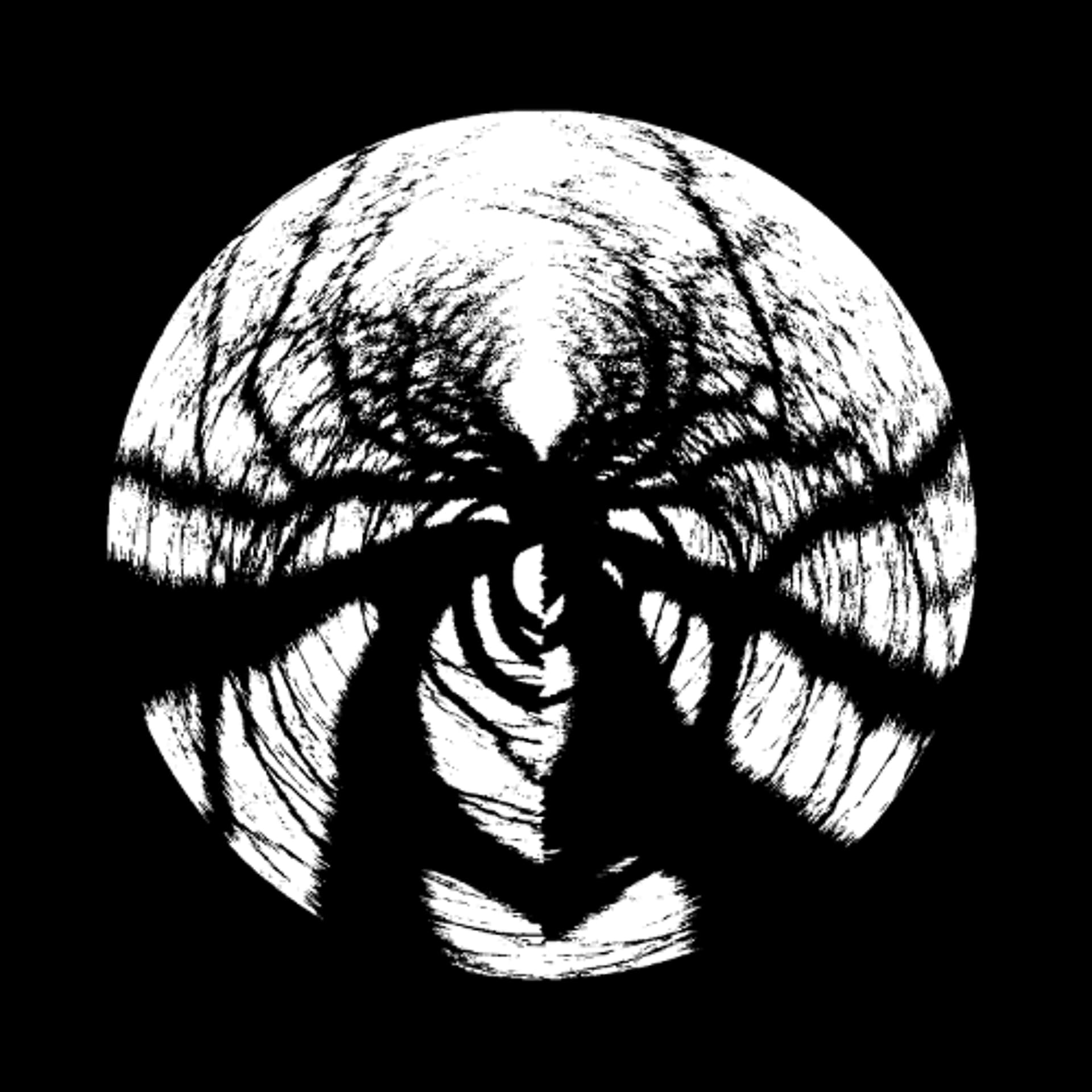 PREMIERE : Phasmid - The Missing Link - Les Yeux Orange cover