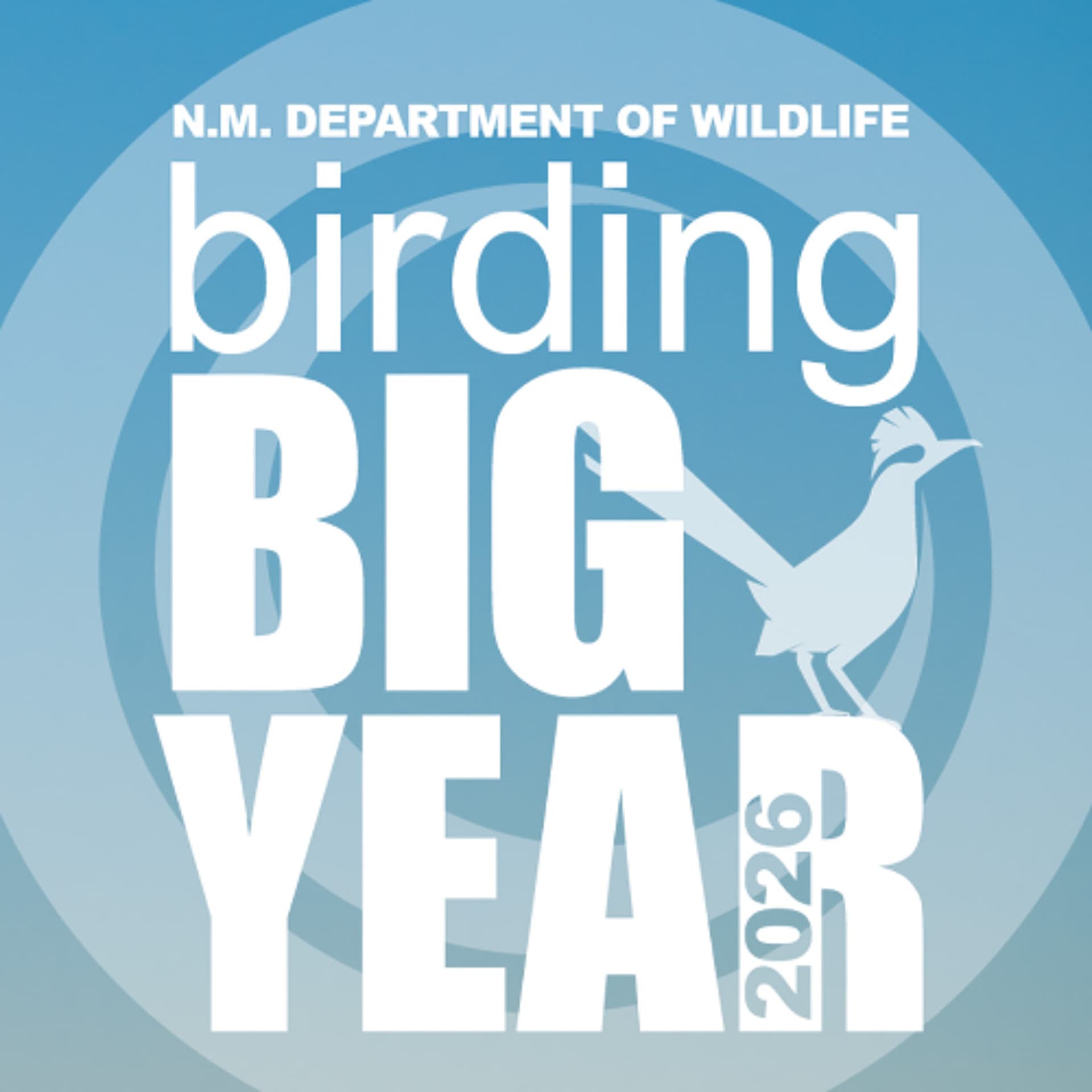 Episode 41: 2026 NM Birding Big Year! - New Mexico Wildlife Podcast cover