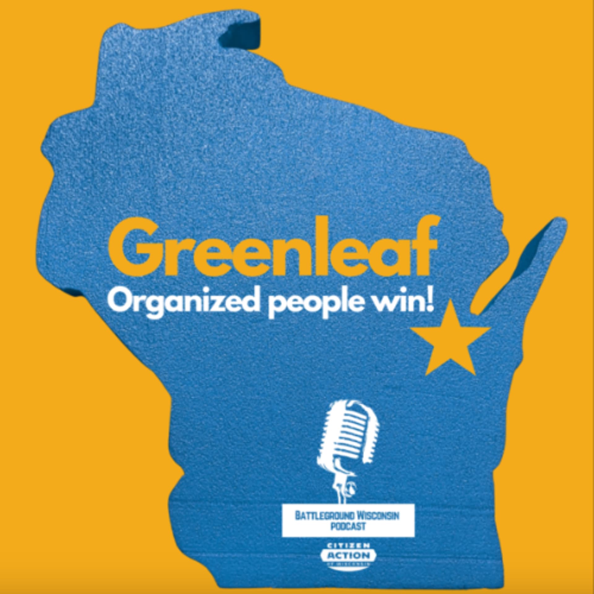 Greenleaf Data Center: Organized People Win! - Battleground Wisconsin cover