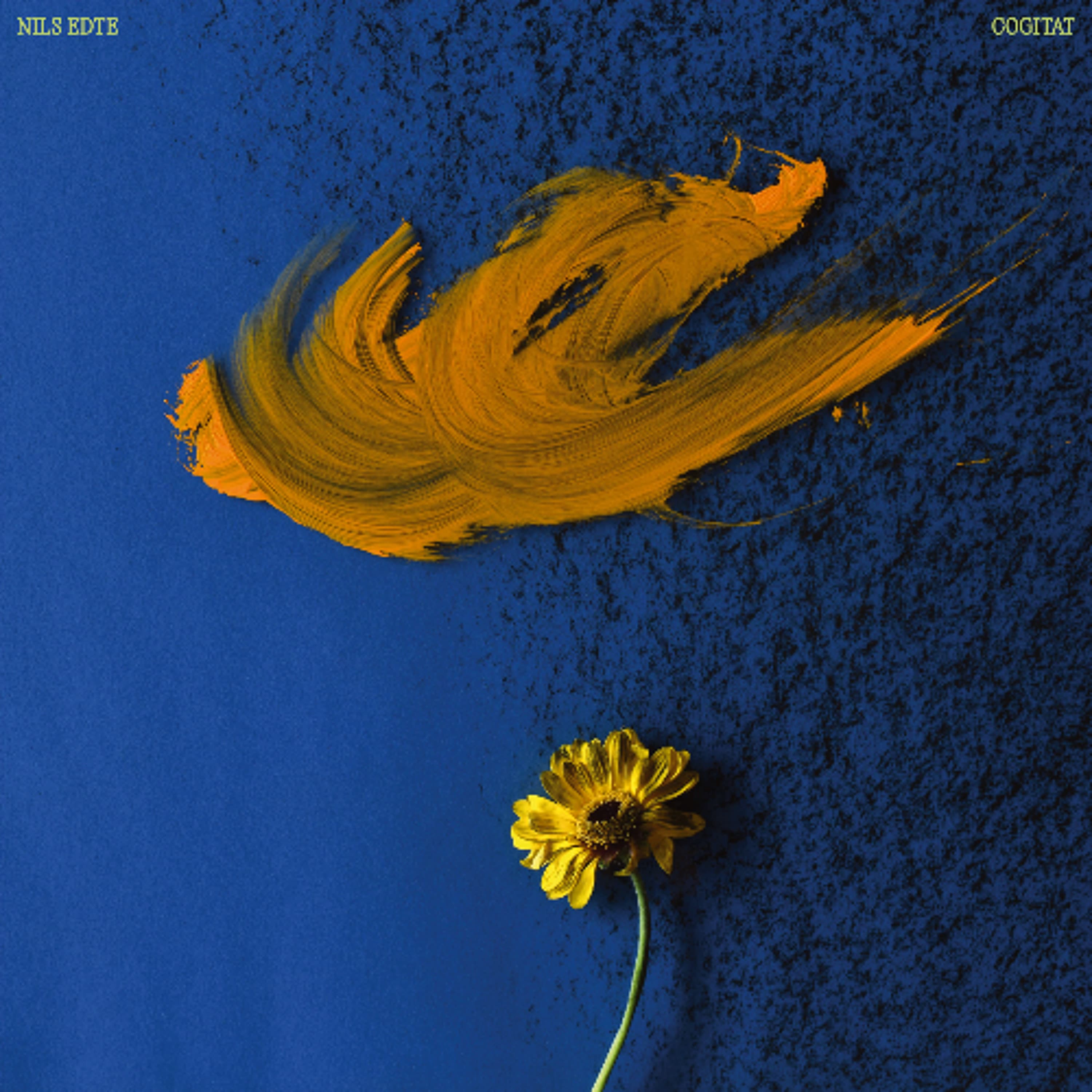 PREMIERE: Nils Edte - Cogitat II [Predawn Records] - Delayed cover