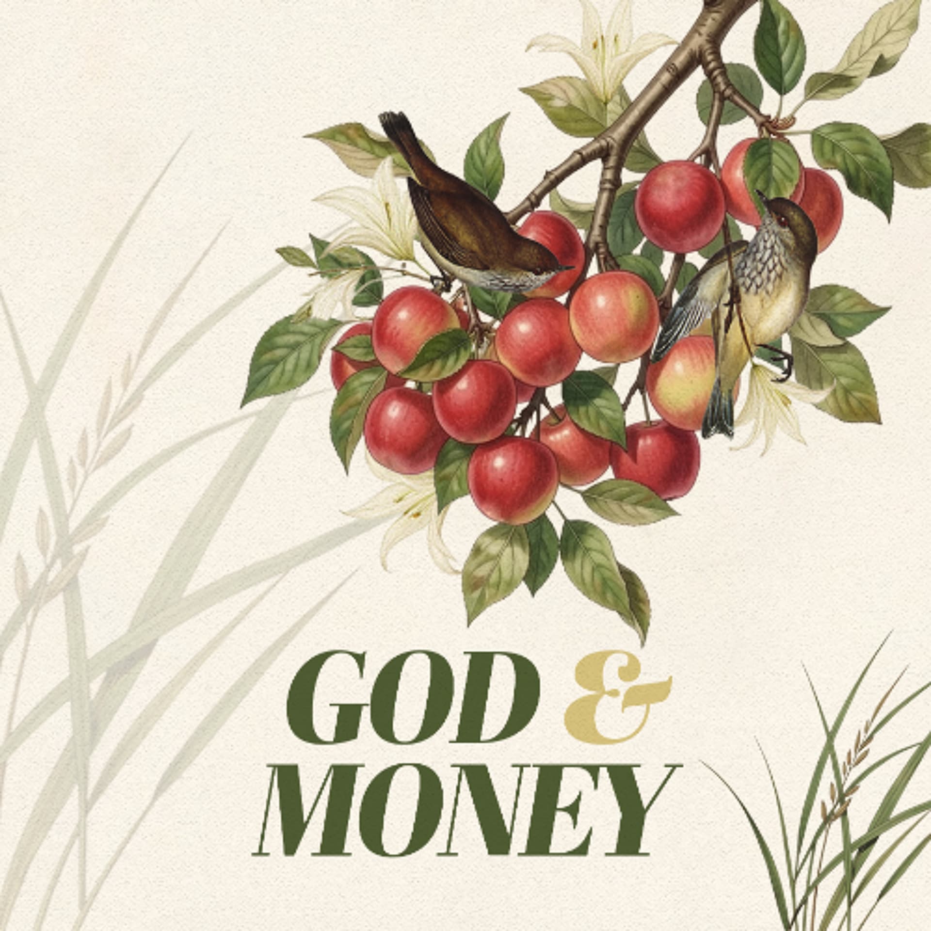 Therefore Do Not Be Anxious | Paul Goebel | April 26, 2026 — Christ Presbyterian Church | Old Hickory Blvd cover