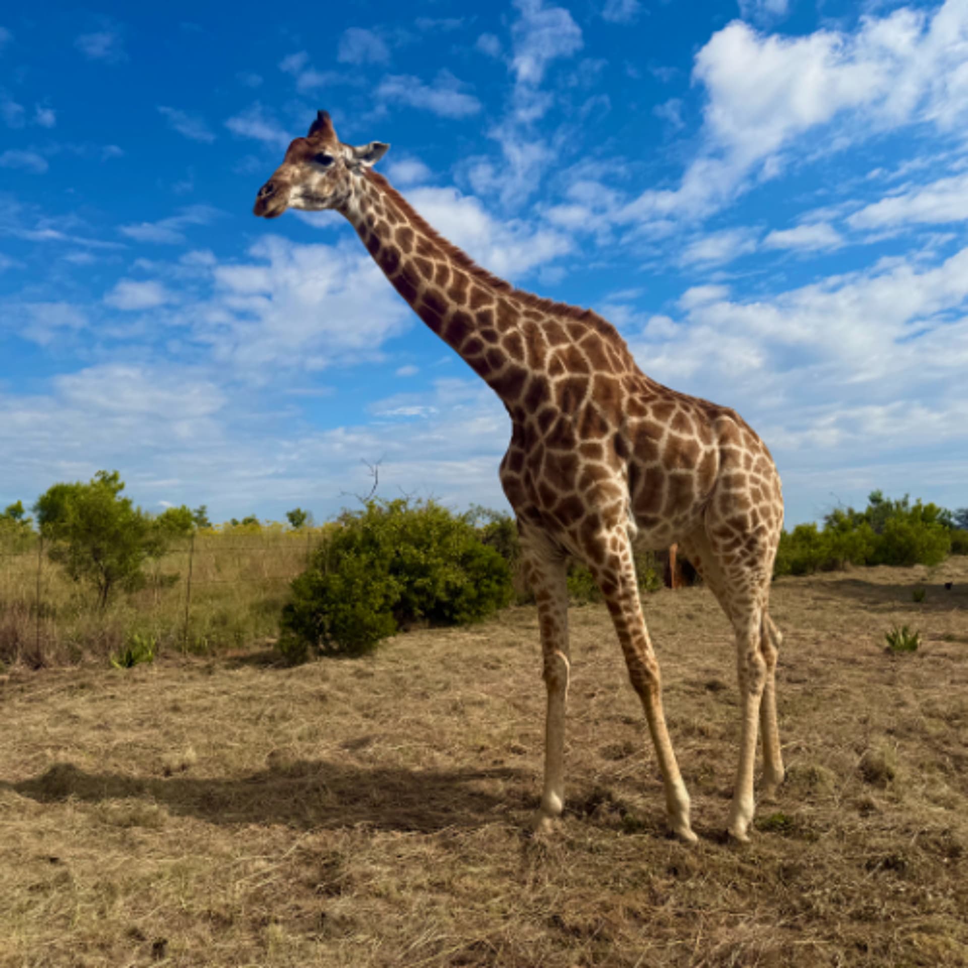 Episode 027 - Beyond The Boardwalk - The South Africa Adventure - February 2026 — Beyond The Boardwalk cover