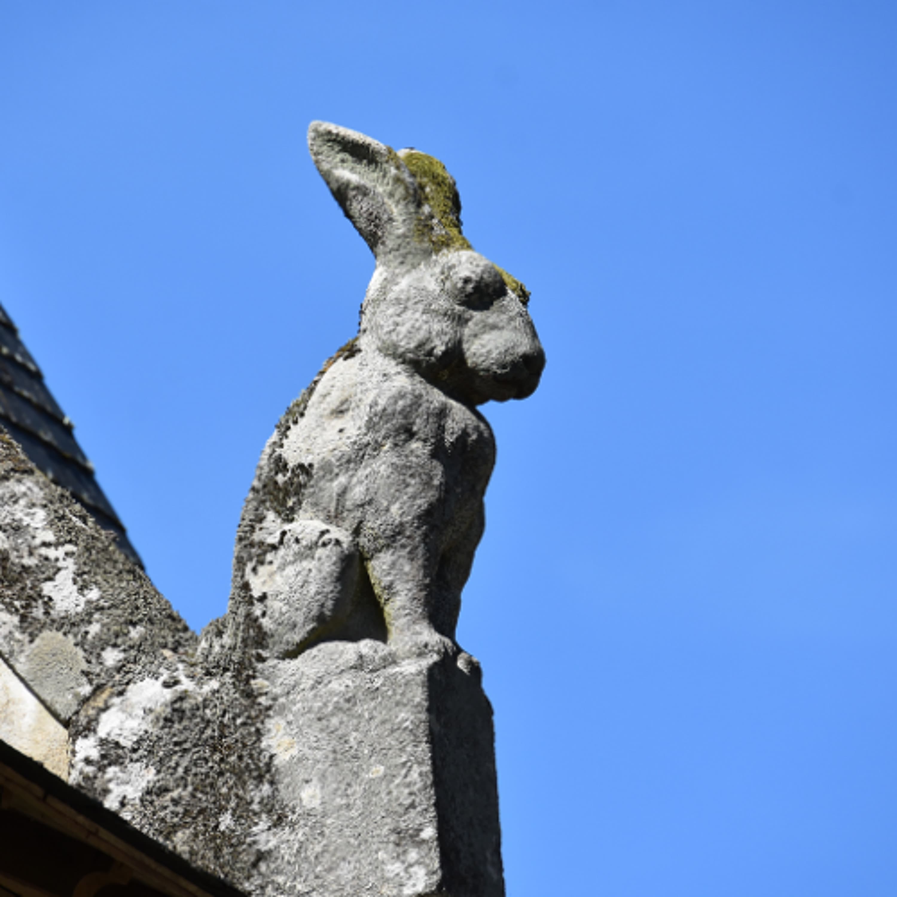 "Easter Bunny or Eostre Hare?" - Roger Meyer - Tomorrow's World Commentary cover