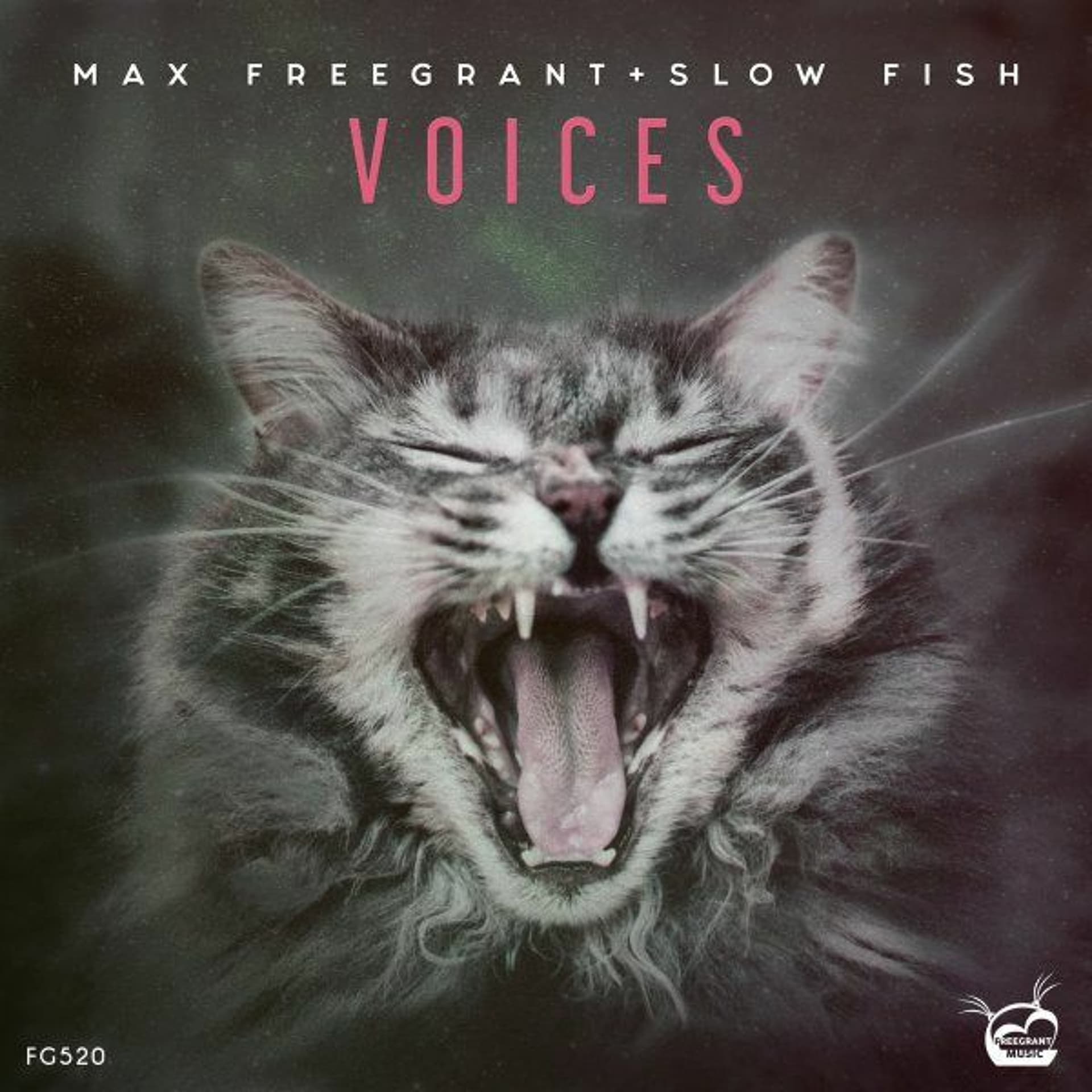 Max Freegrant & Slow Fish - Voices - Max Freegrant cover