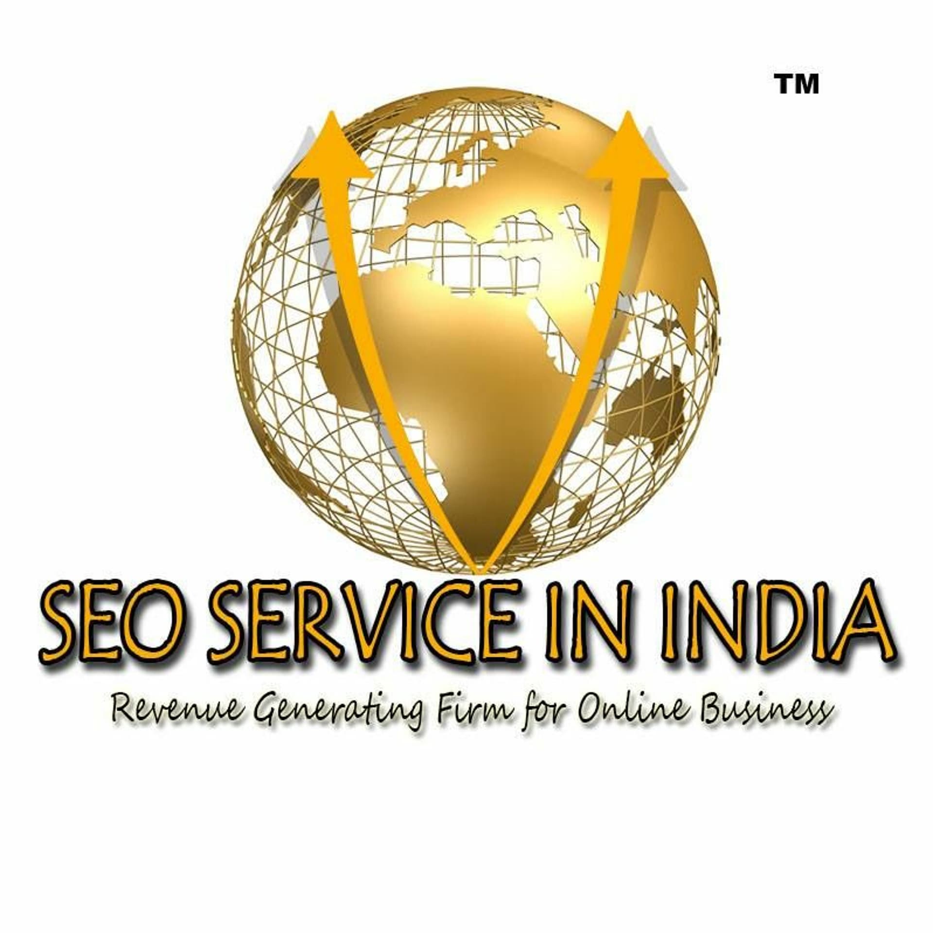 Website Development In Delhi - Best Digital Marketing Services in India cover