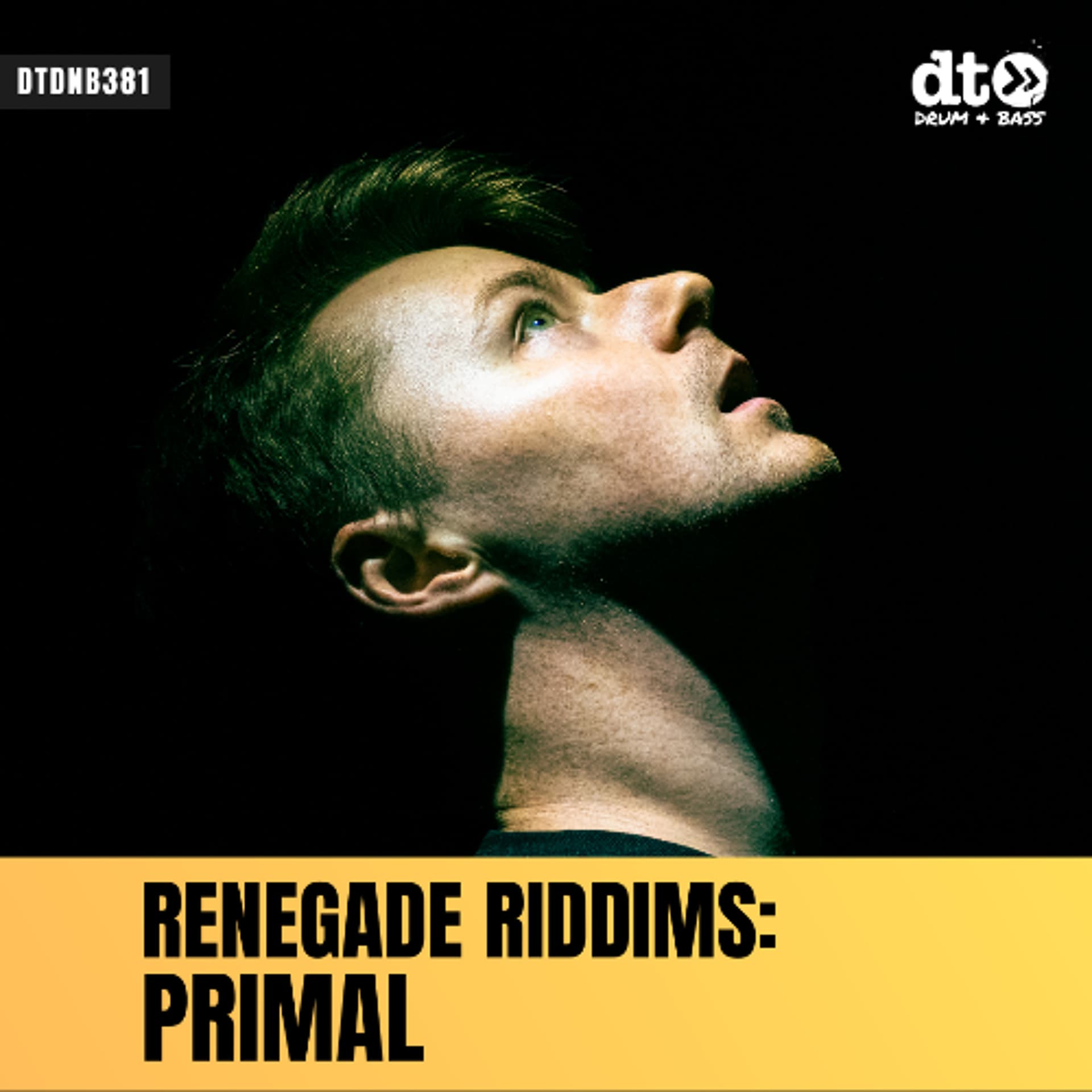 RENEGADE RIDDIMS: Primal - Renegade Riddims cover