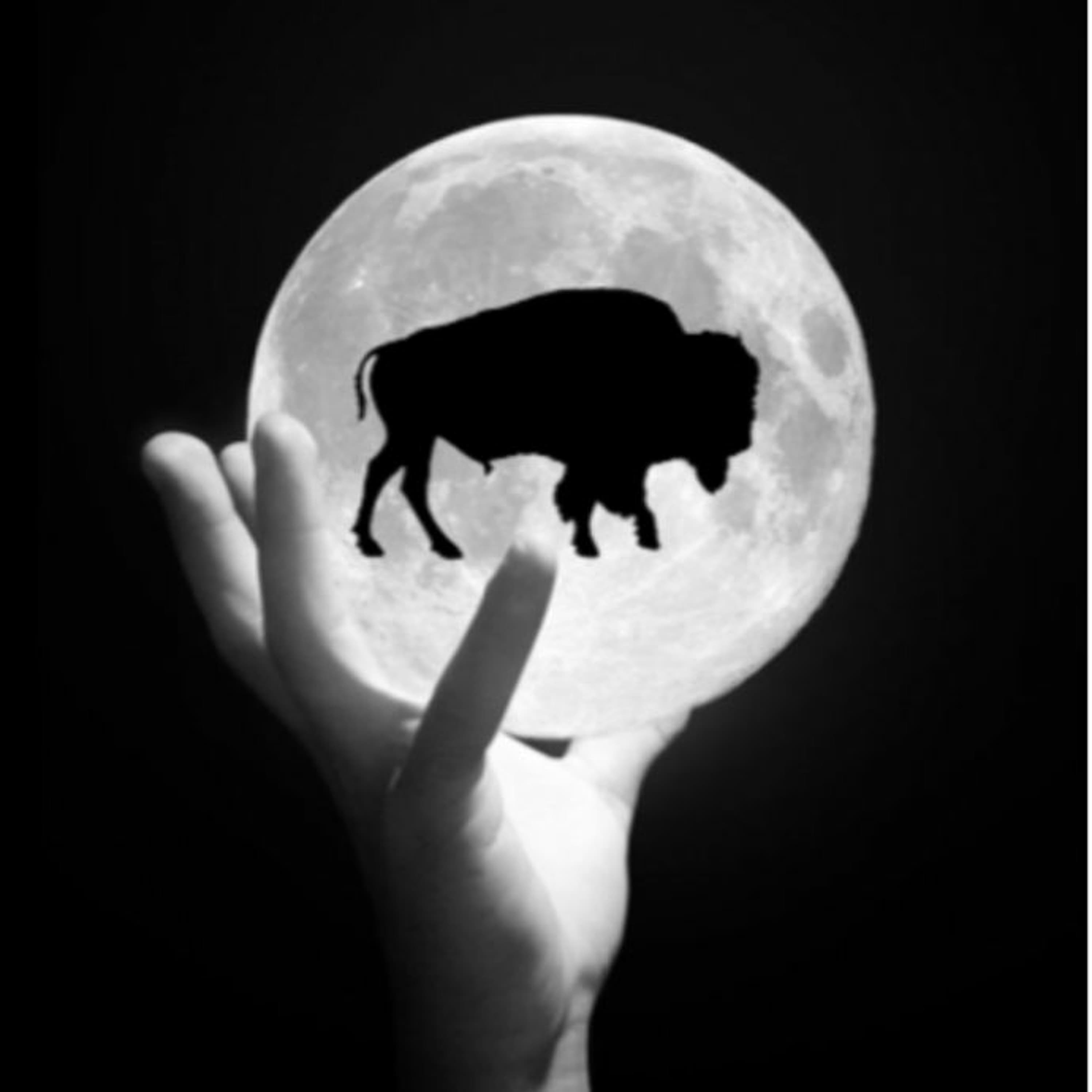 Self Improvement Daily – Robots Pawn - Bison Moon – BM01 – 38 - Bison Moon Group Inc cover