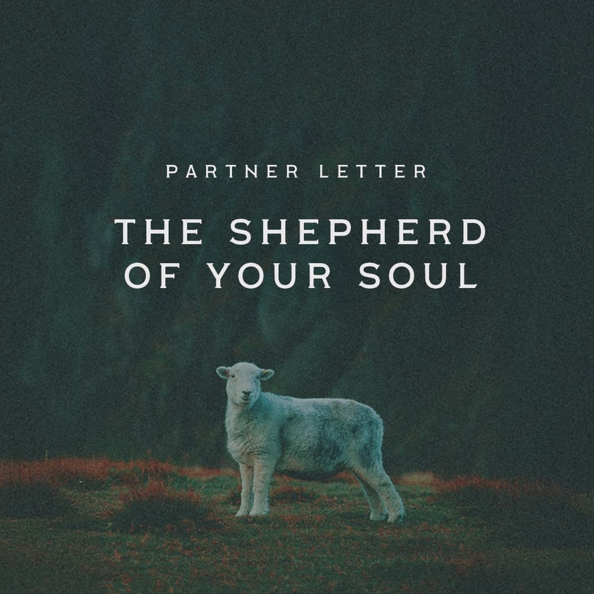 The Shepherd of Your Soul | January 2026 Partner Letter - Pearsons Ministries Sermons cover