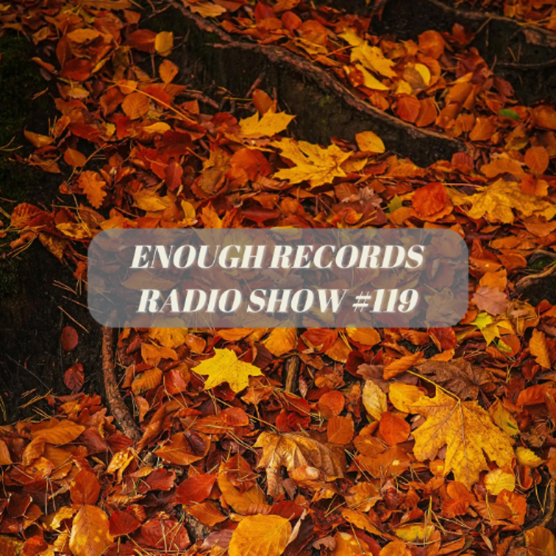 Enough Records Radio Show #119 - Enough Records cover