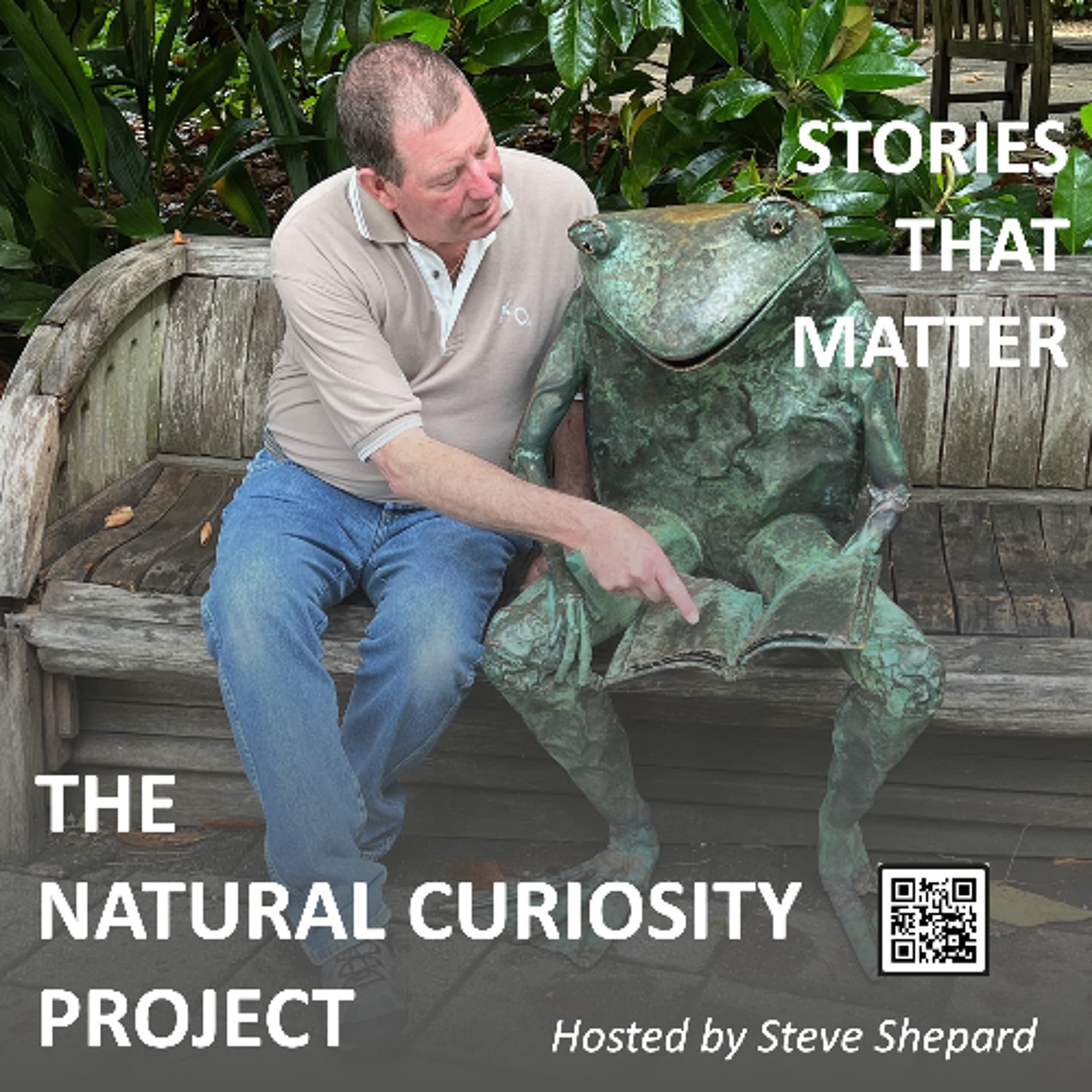 Episode 310-Centennial Gleissberg Cycles - The Natural Curiosity Project cover