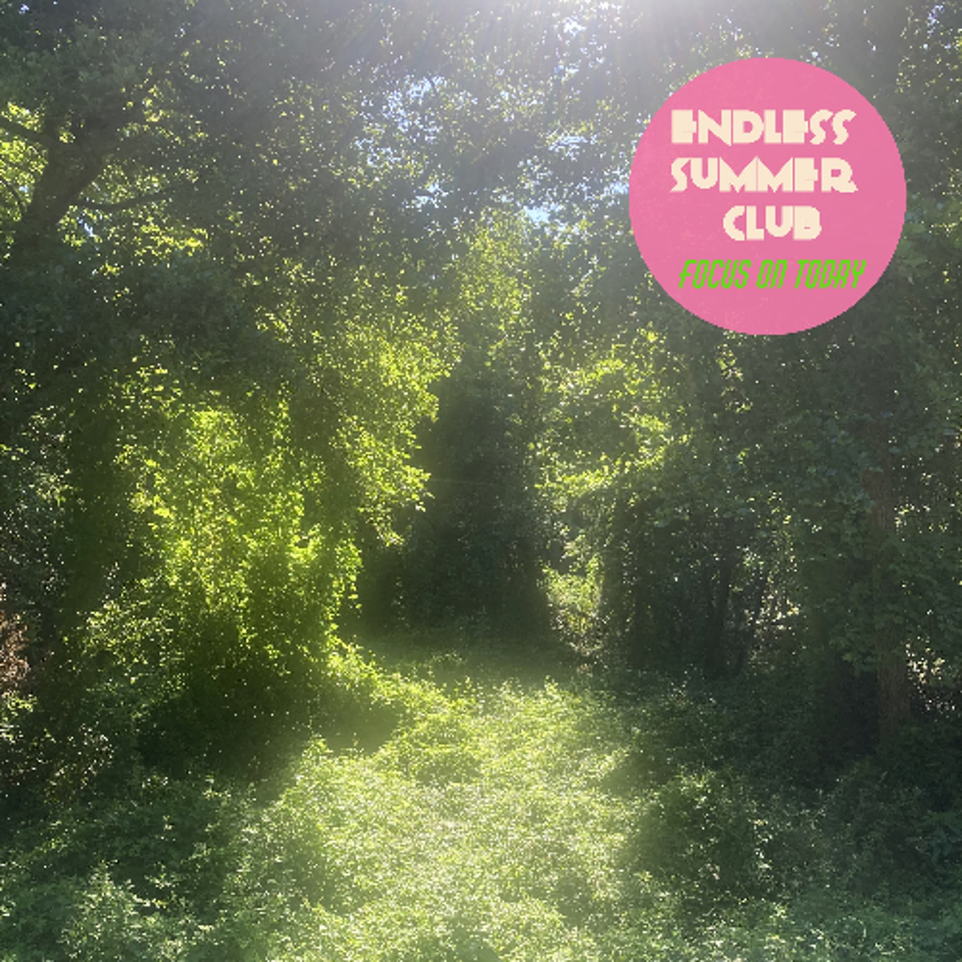ENDLESS SUMMER CLUB - Focus On Today - Music&Motion cover