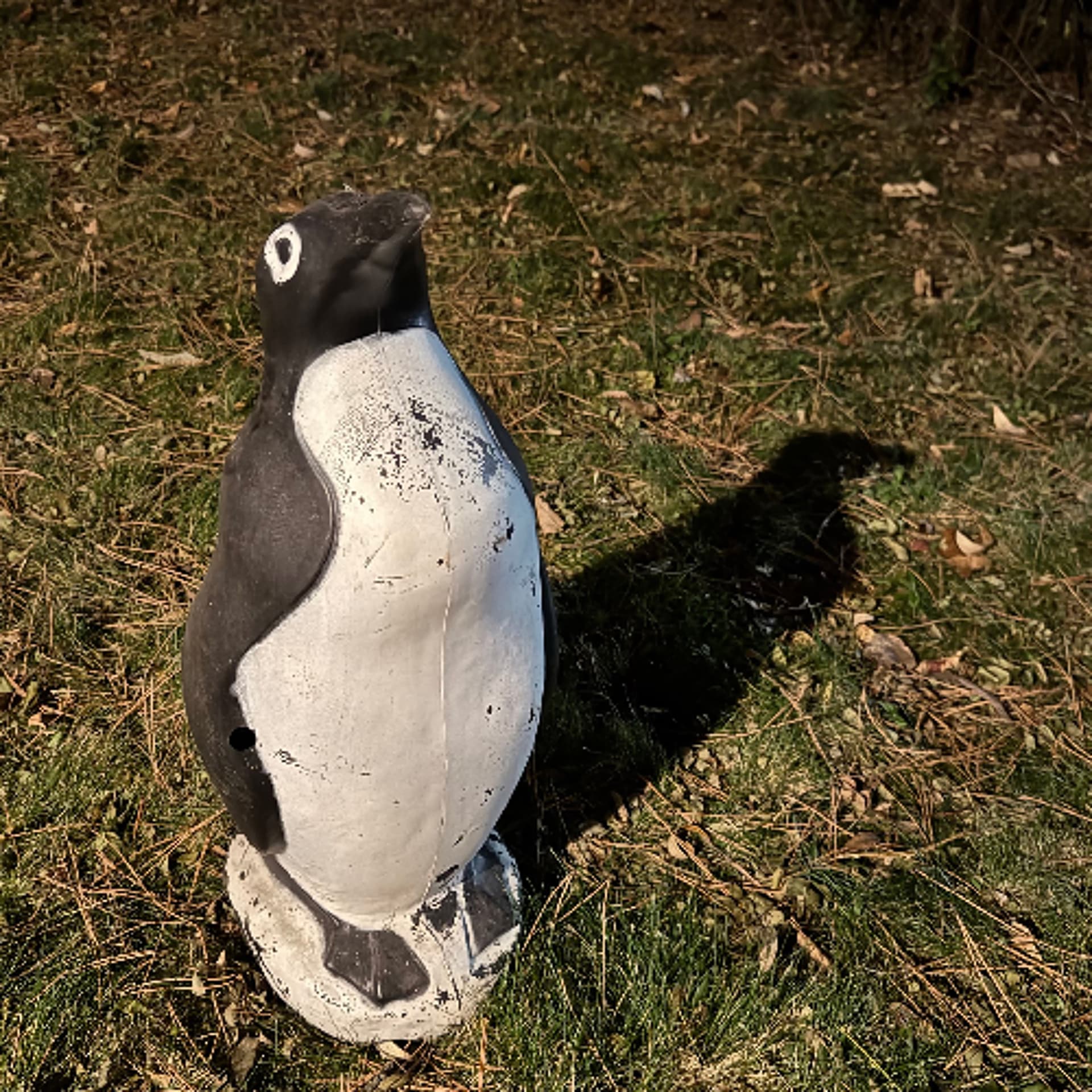 Alan Sparhawk - JCMF - Sub Pop cover