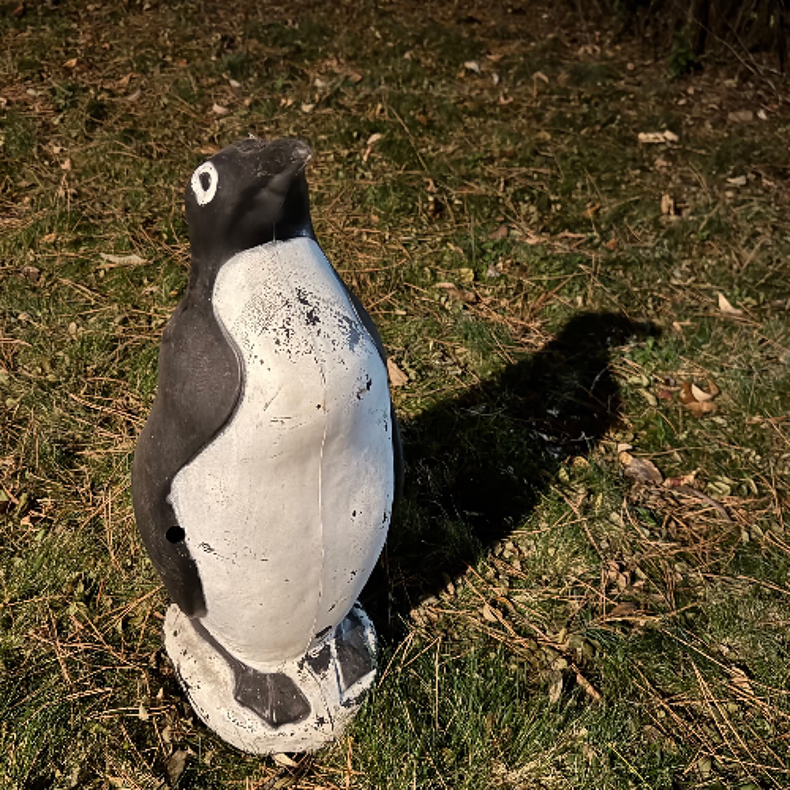 Alan Sparhawk - JCMF - Sub Pop cover