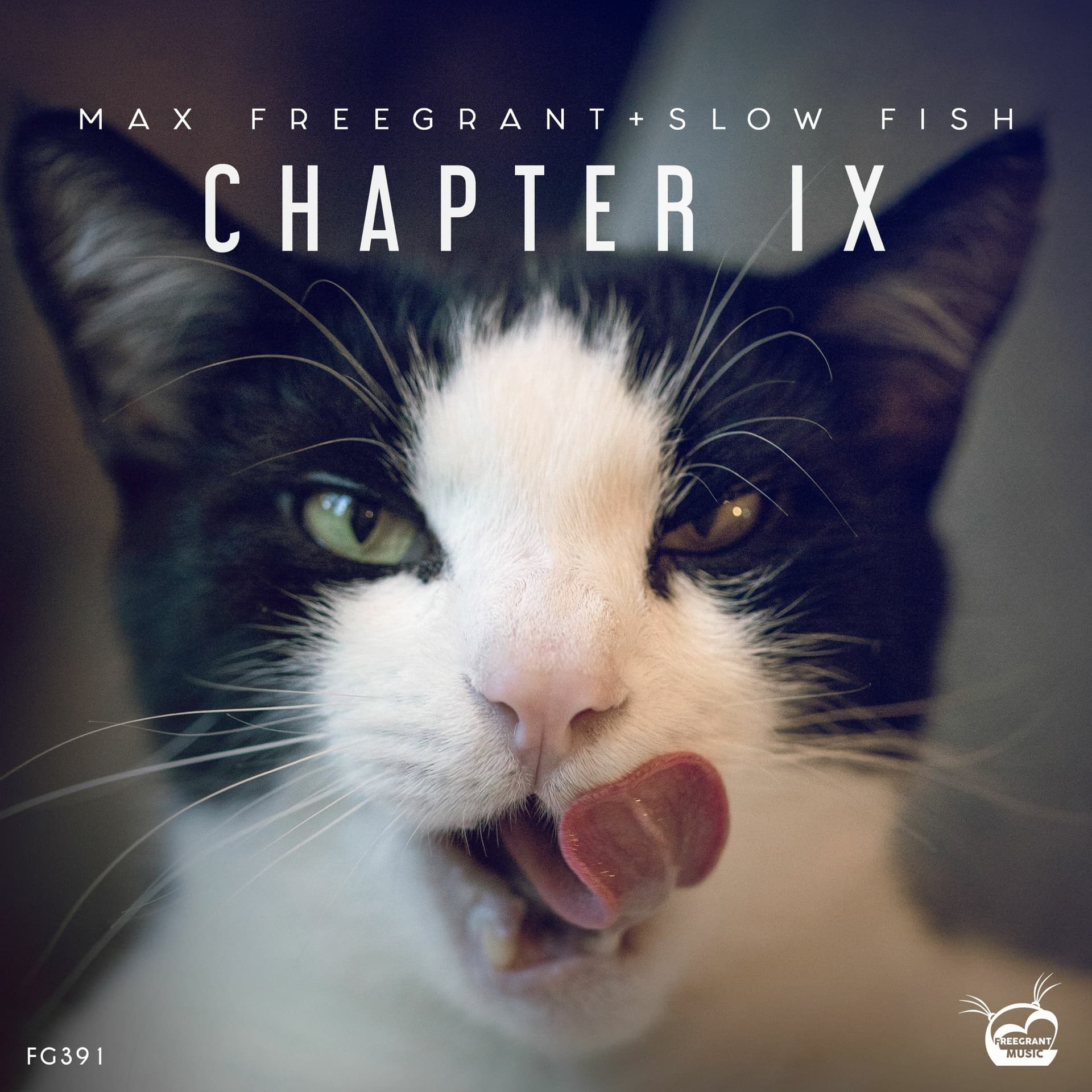 PREMIERE: Max Freegrant & Slow Fish -  Chapter IX [OUT NOW] - Max Freegrant cover