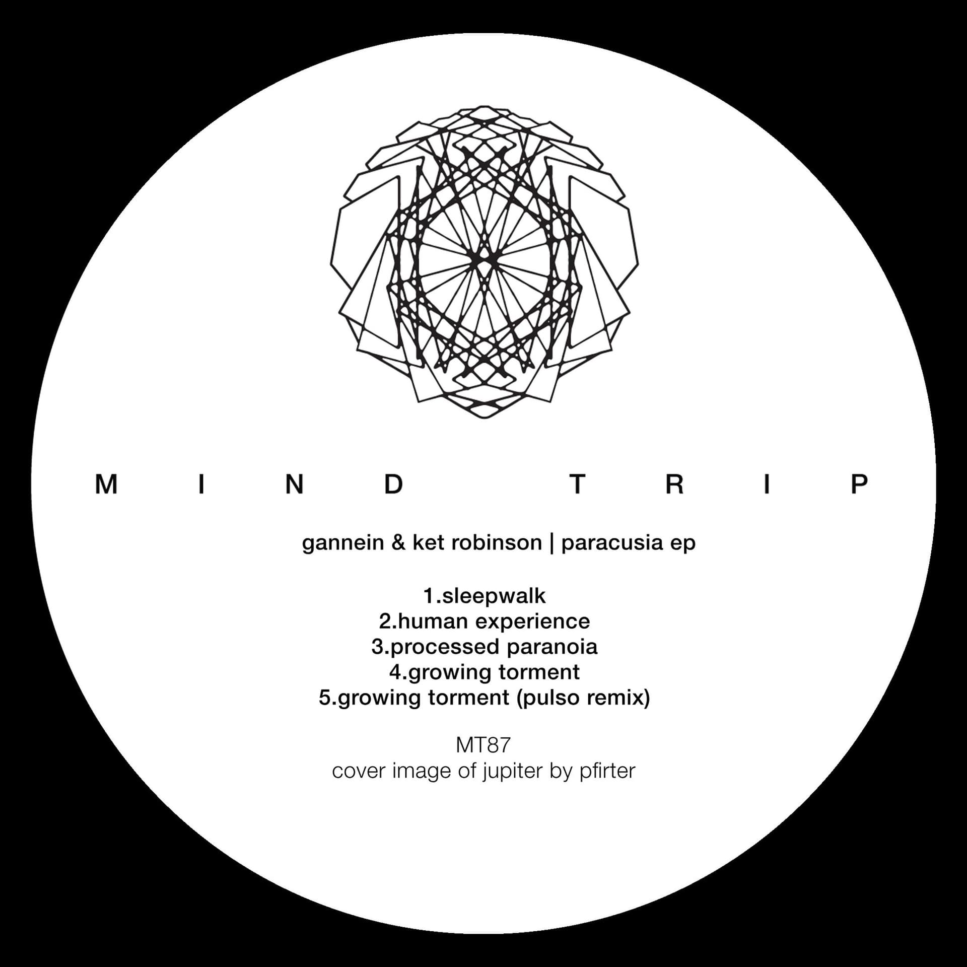 Premiere: Gannein & Ket Robinson - Processed Paranoia [MT87] - HATE Podcasts cover