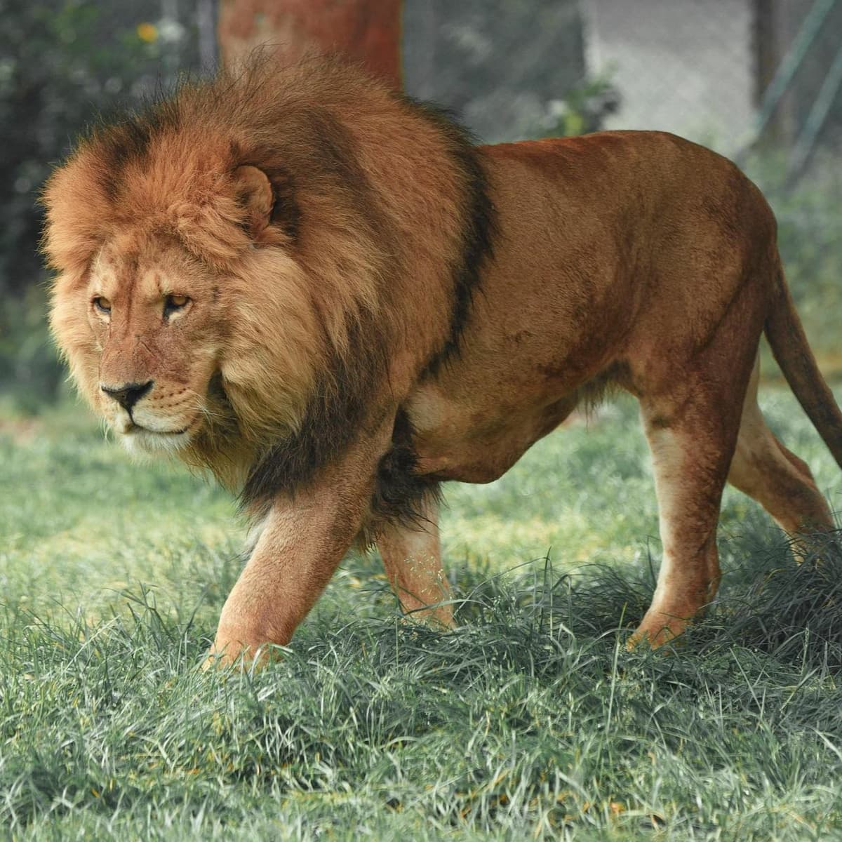 Meditation On Fear - Conscious Leader of the Month cover