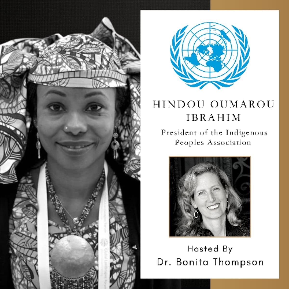 Hindou Oumarou Ibrahim | President of the Indigenous Peoples Association - The Chief Executive Podcast cover