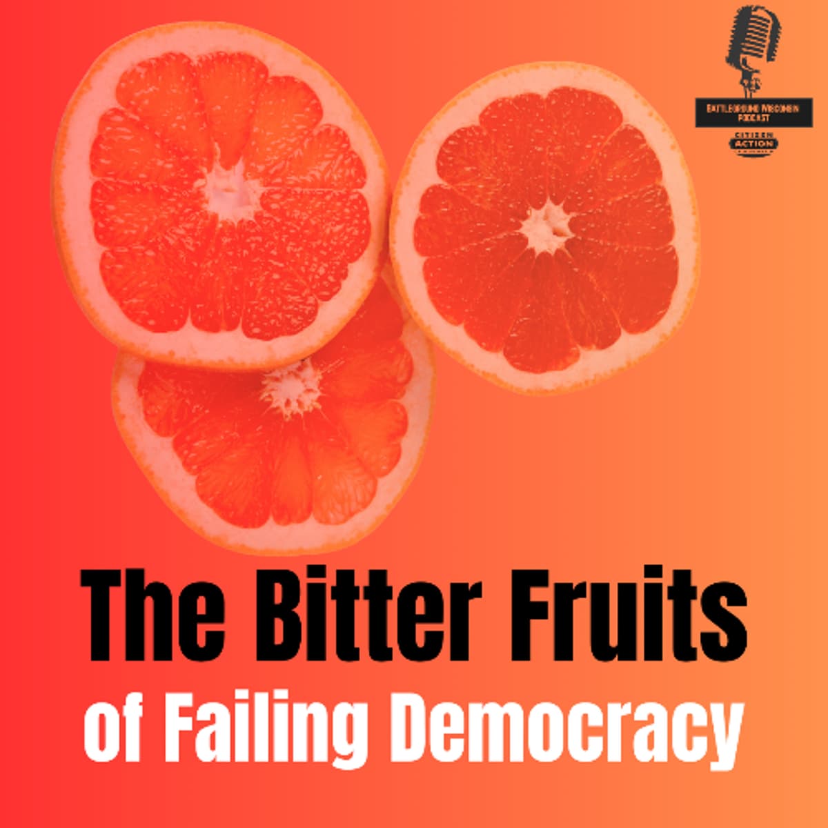 The Bitter Fruits of Failing Democracy - Battleground Wisconsin cover